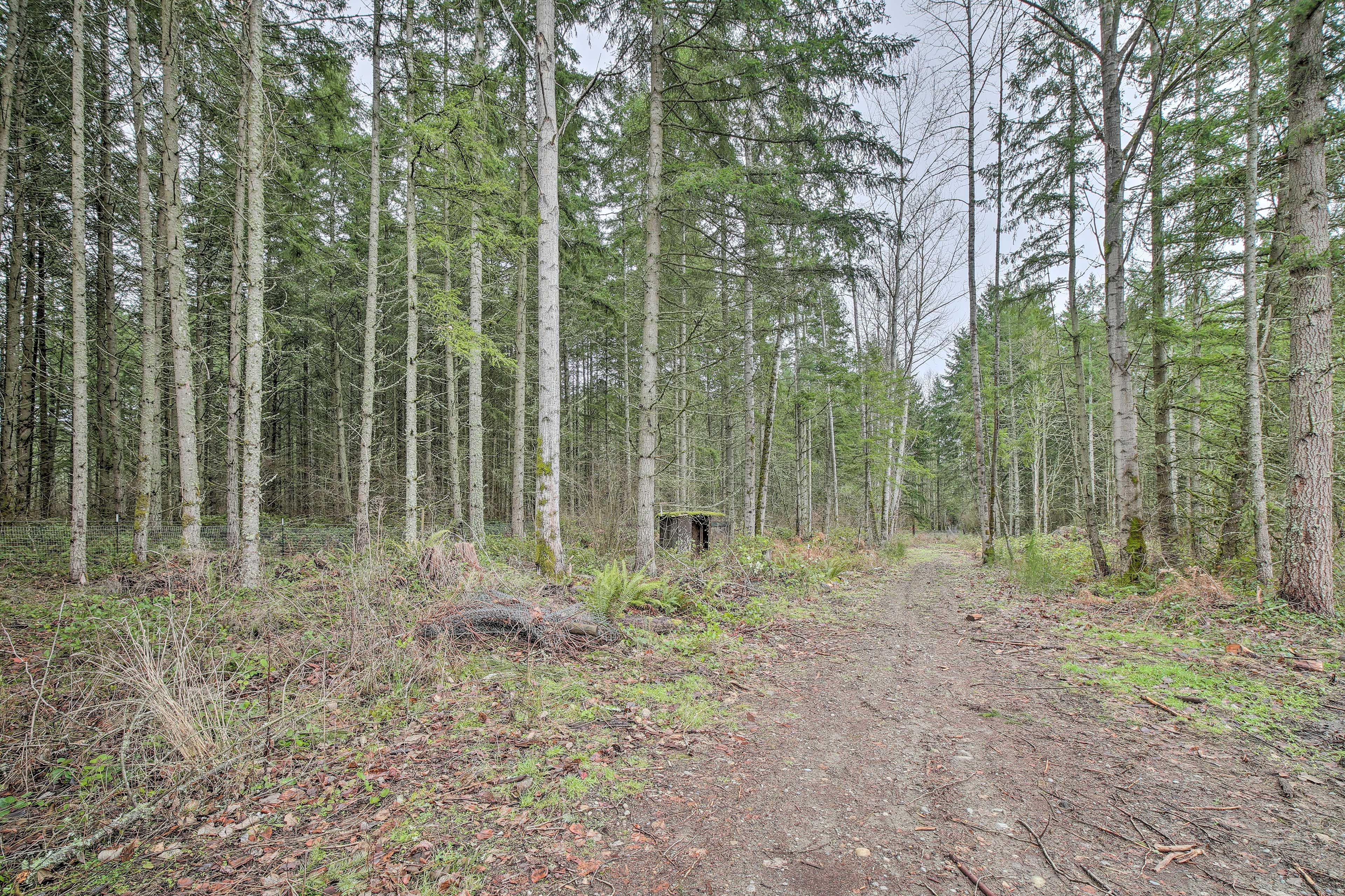 Road to Cottage