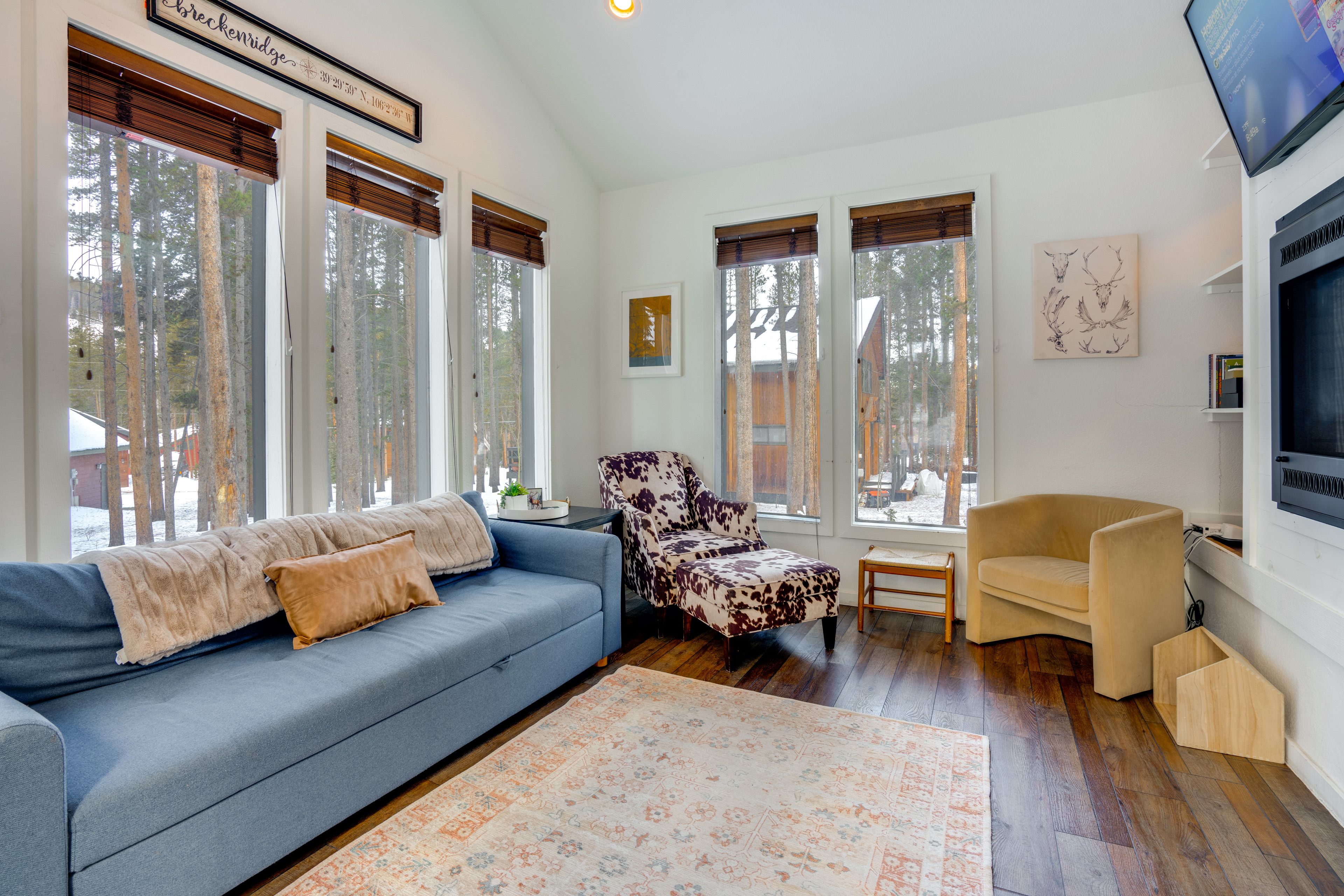 Living Room | Free WiFi (High Speed) | Sleeper Sofa