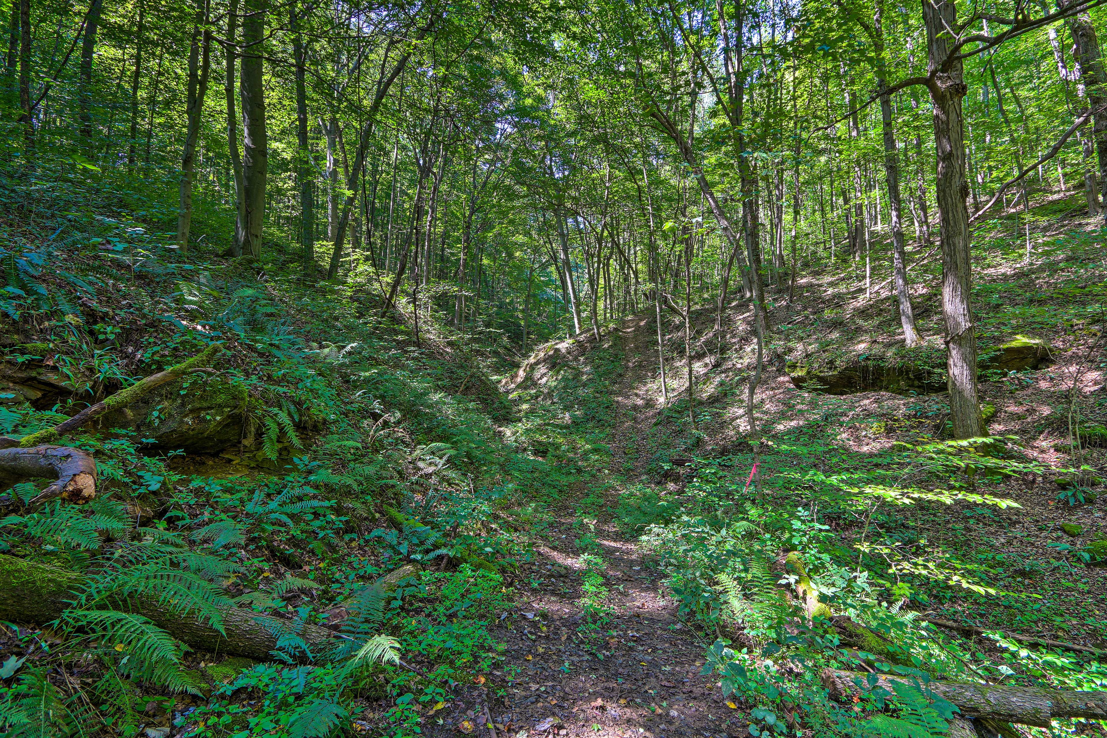On-Site Hiking Trails