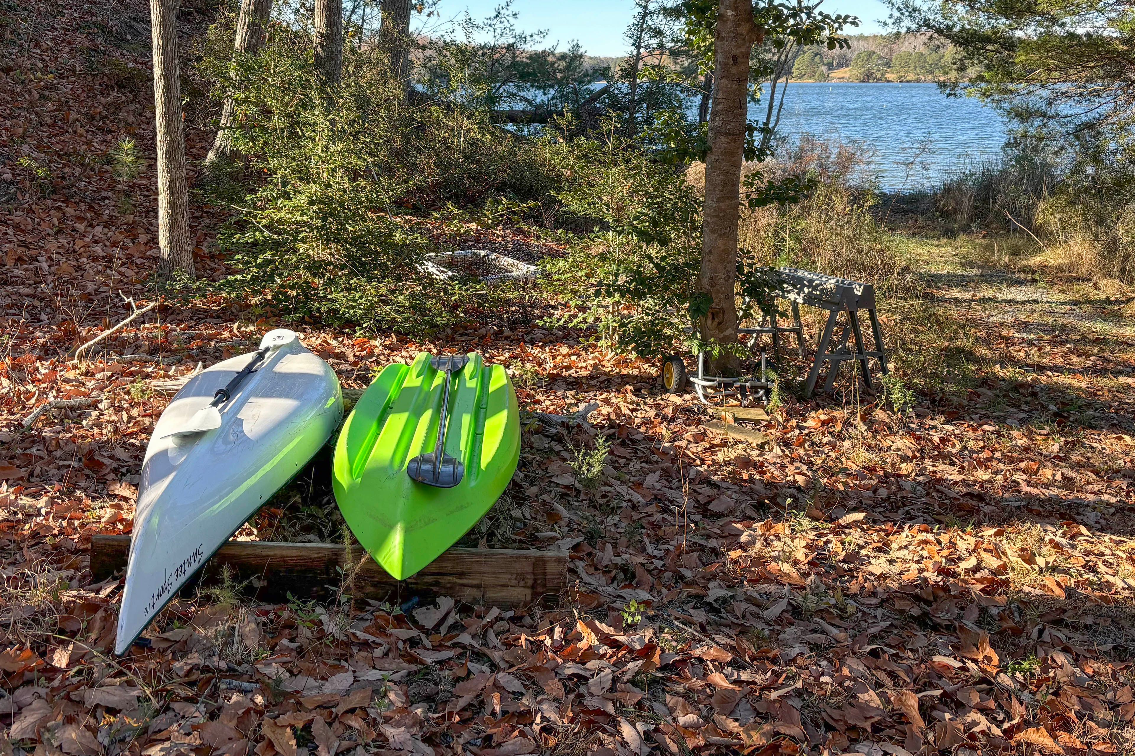 Backyard | Kayaks Provided