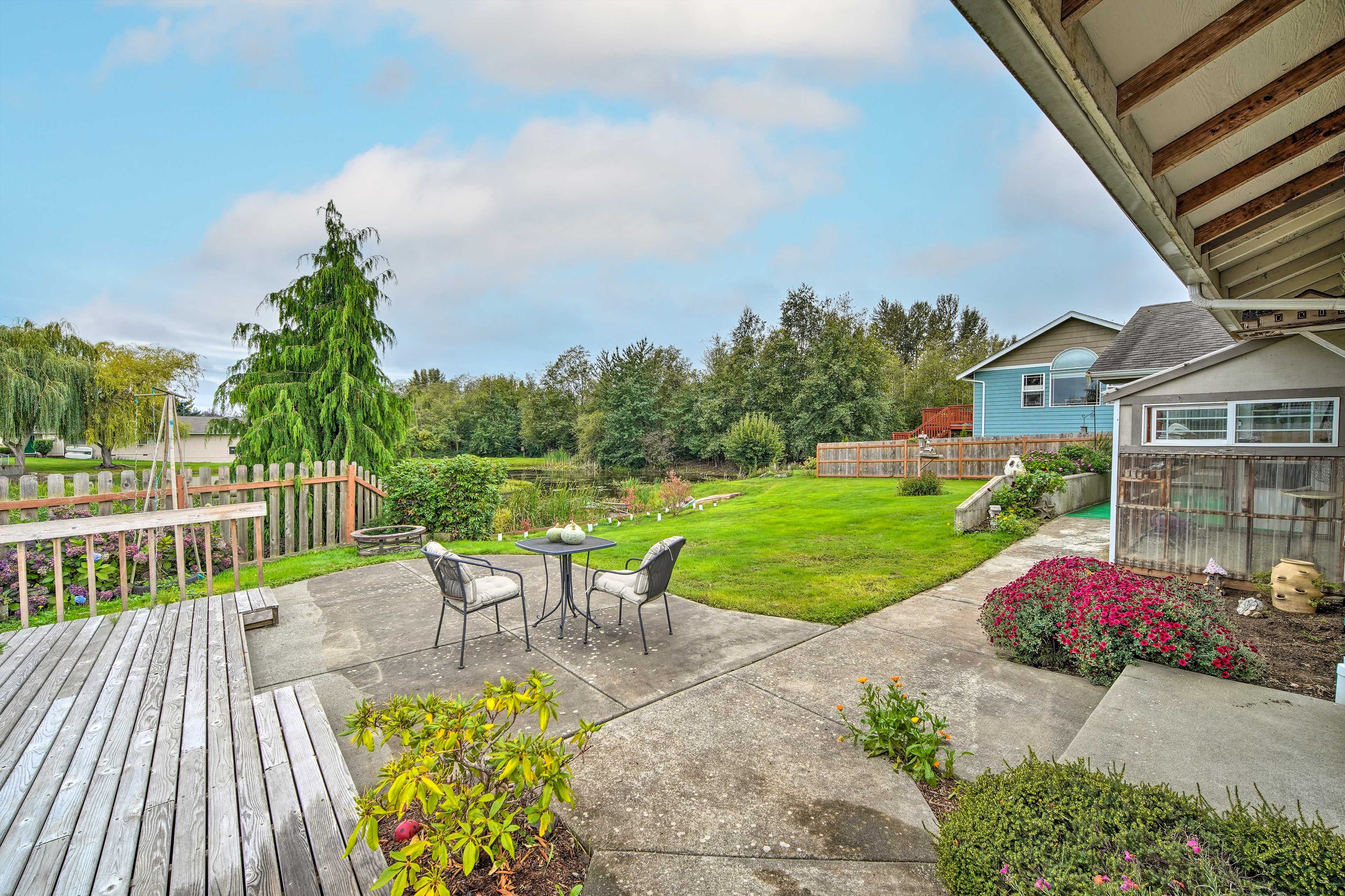 Backyard