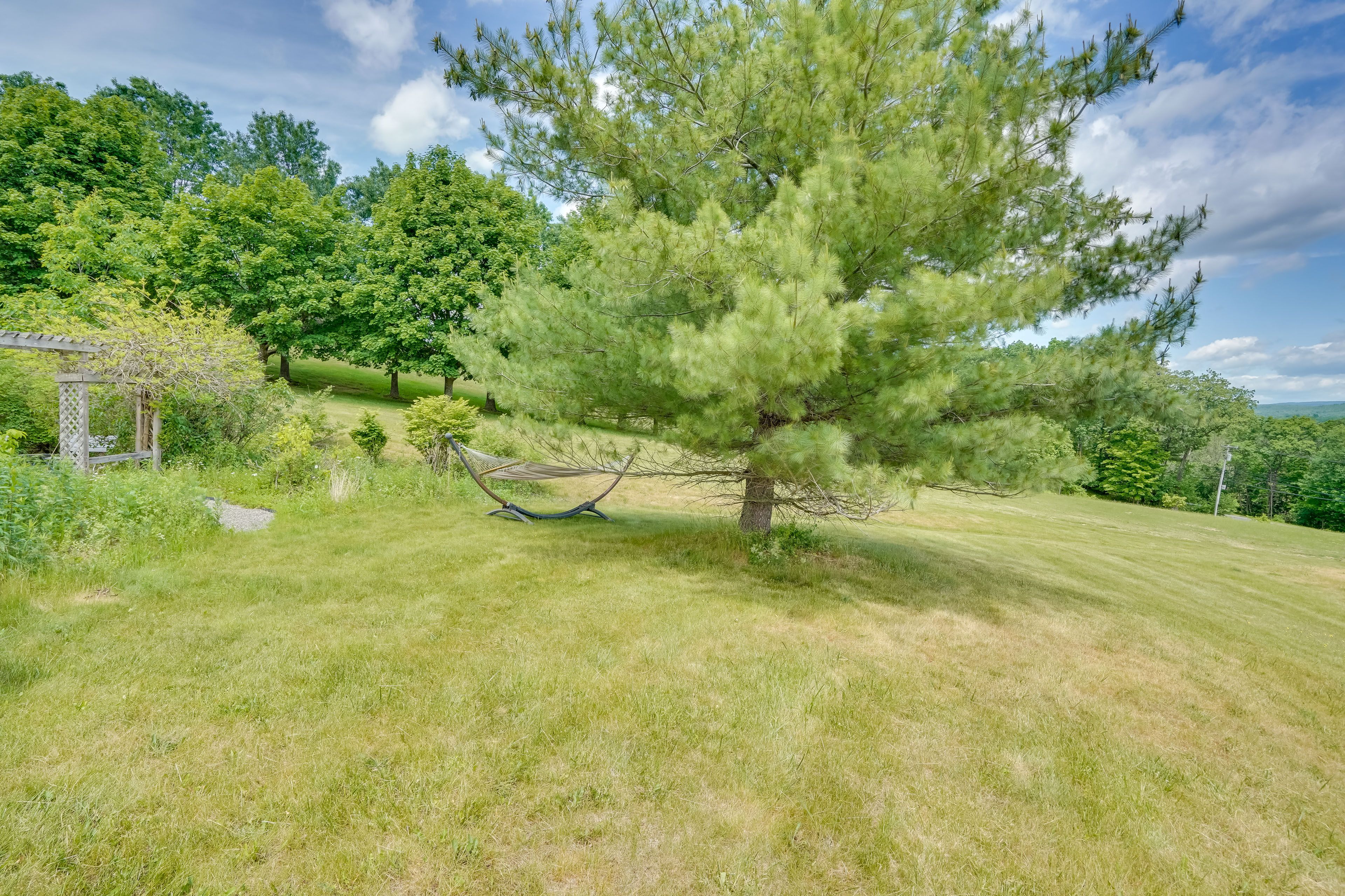 Exterior Space | Hammock