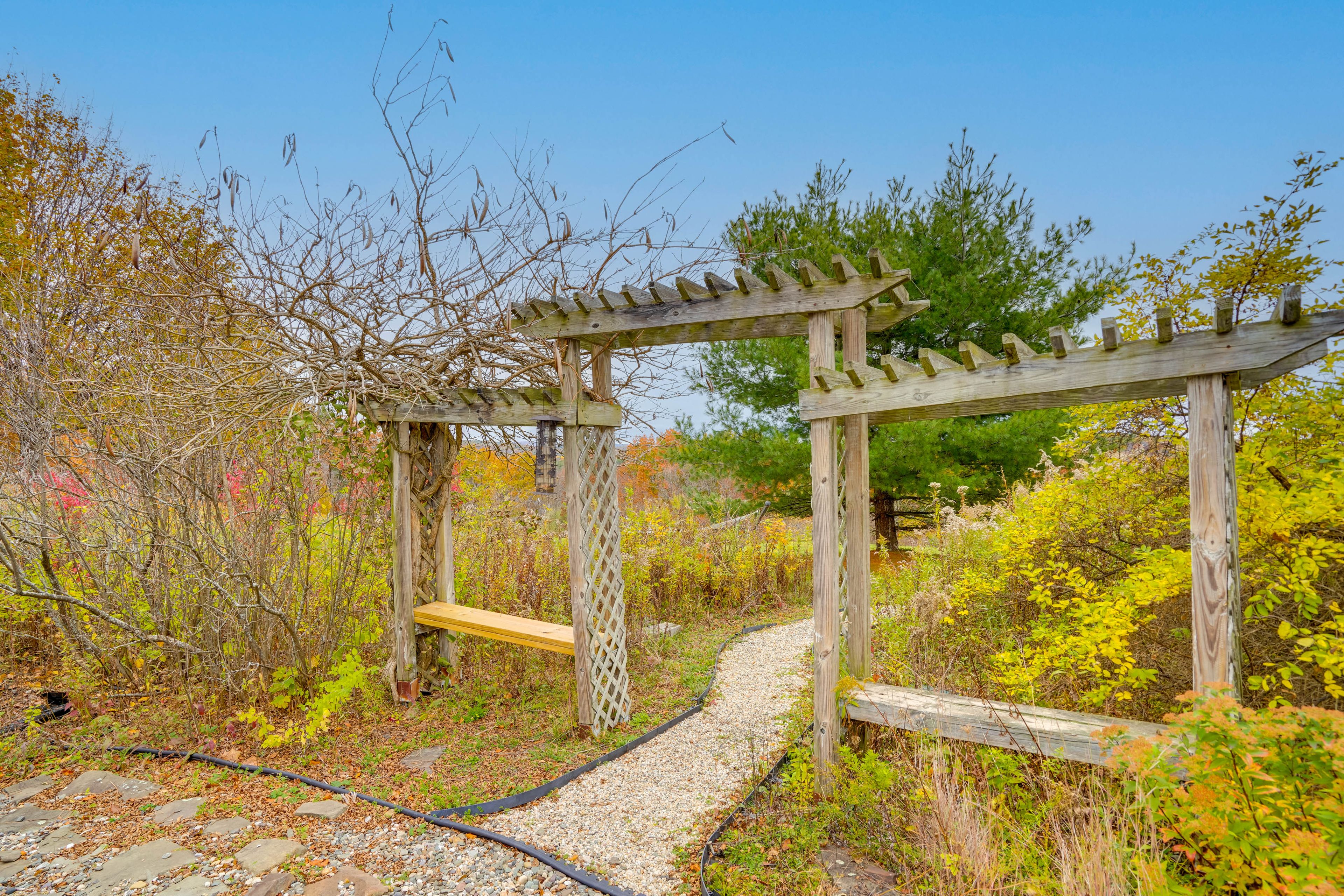 Exterior Space | Hammock