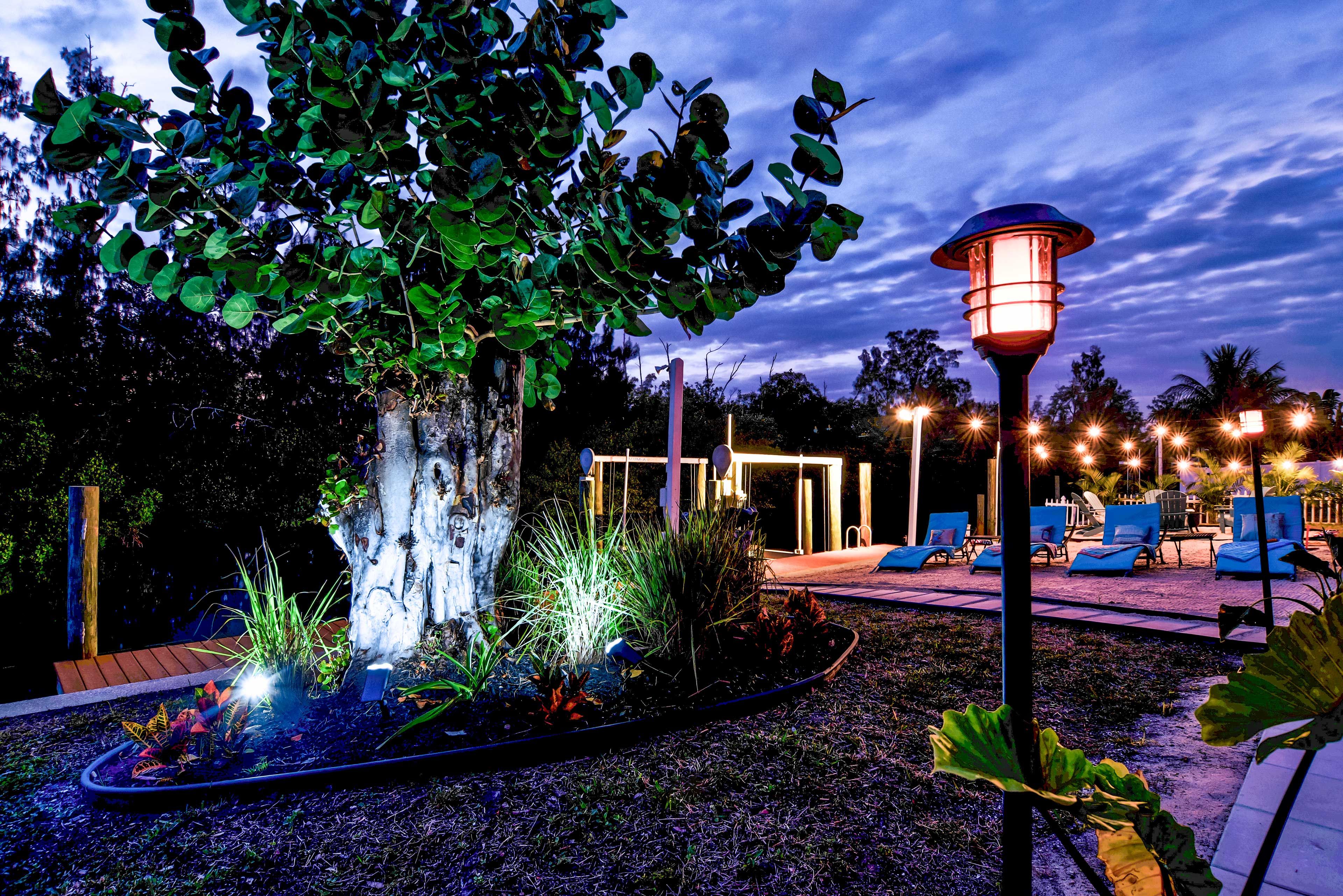 Exterior Space | Night