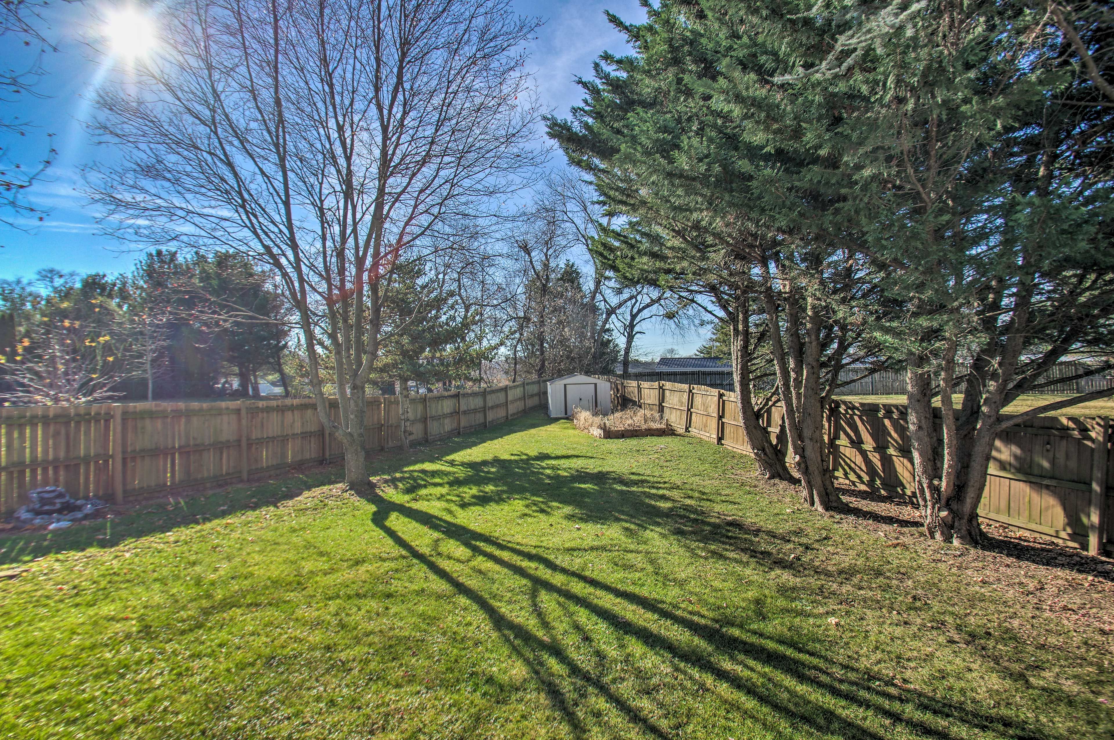 Backyard