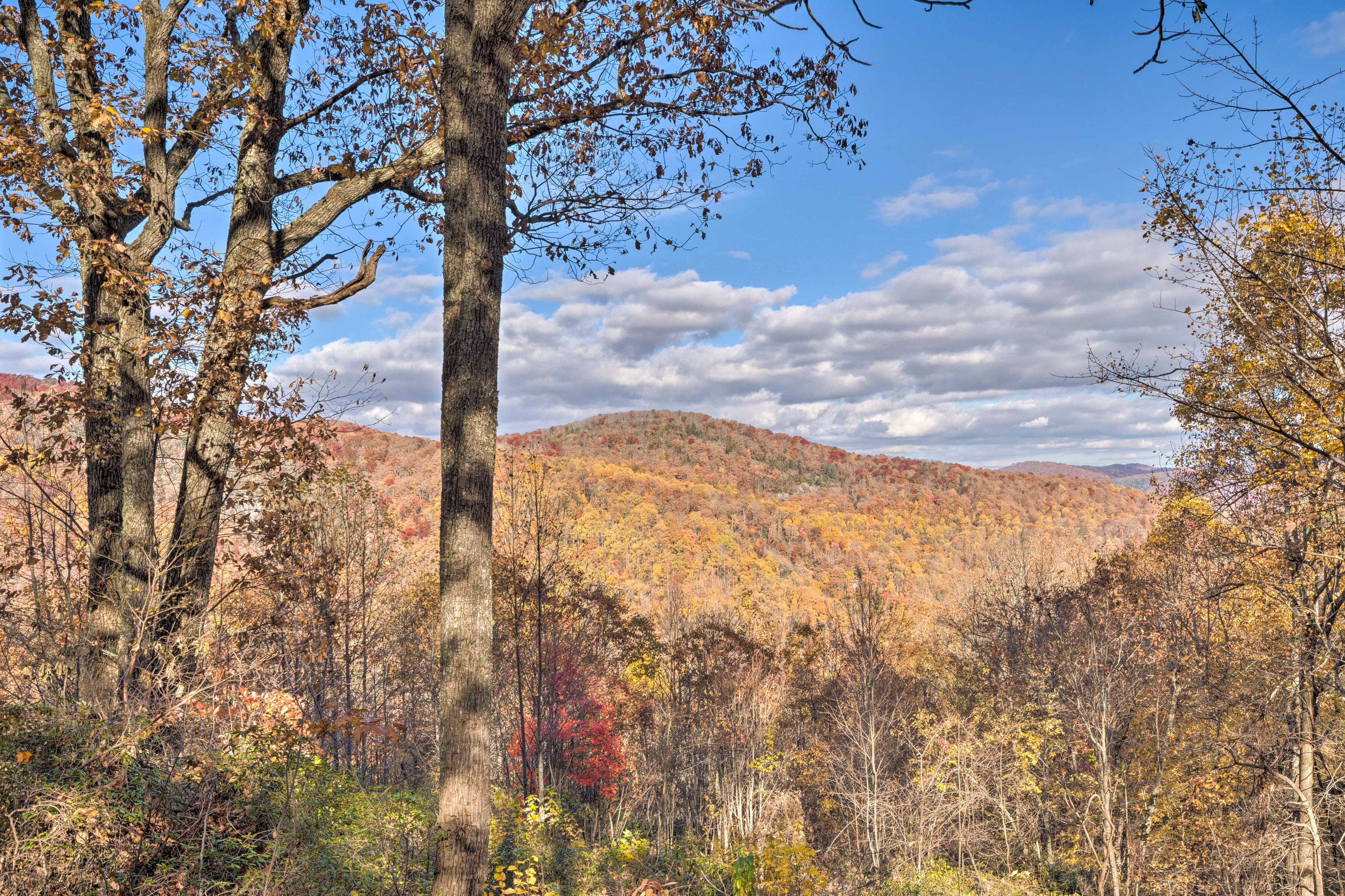 Property Views