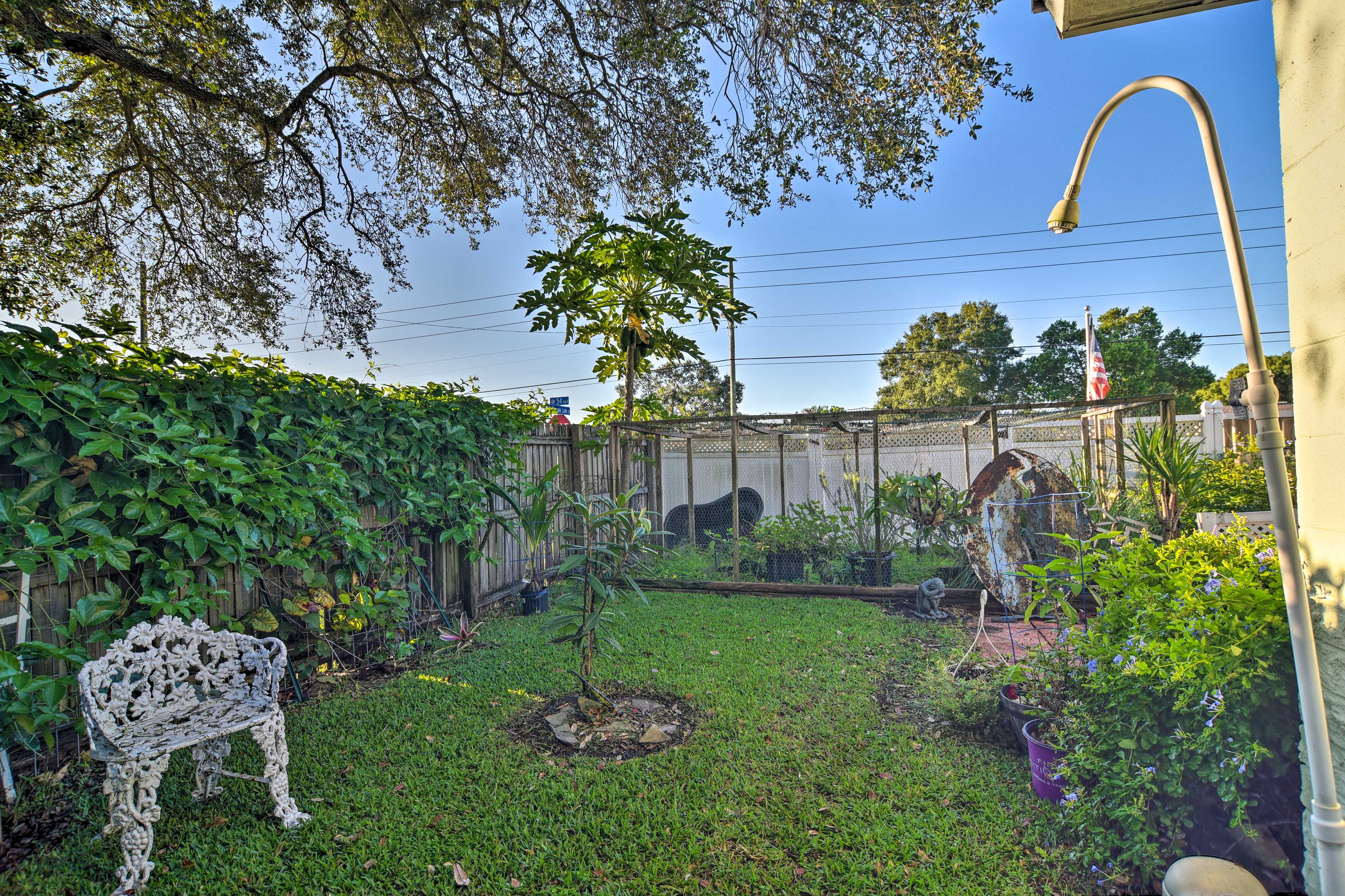 Private Yard | Dining Set