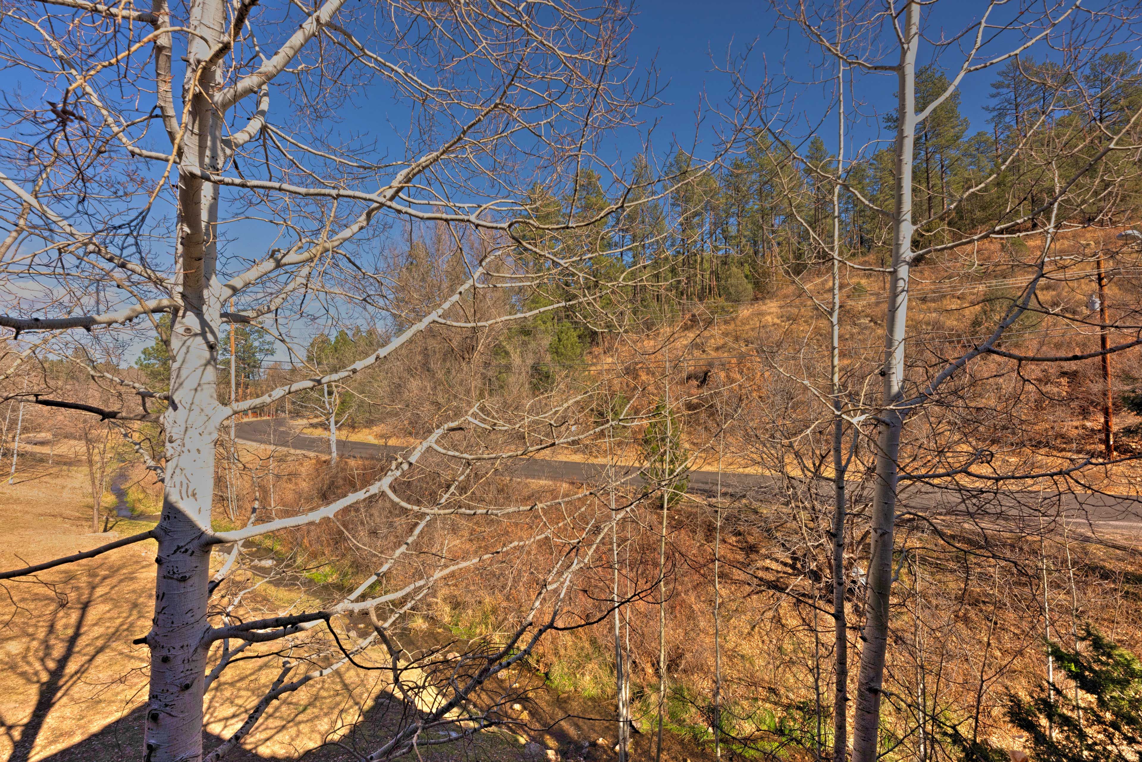 View from Balcony