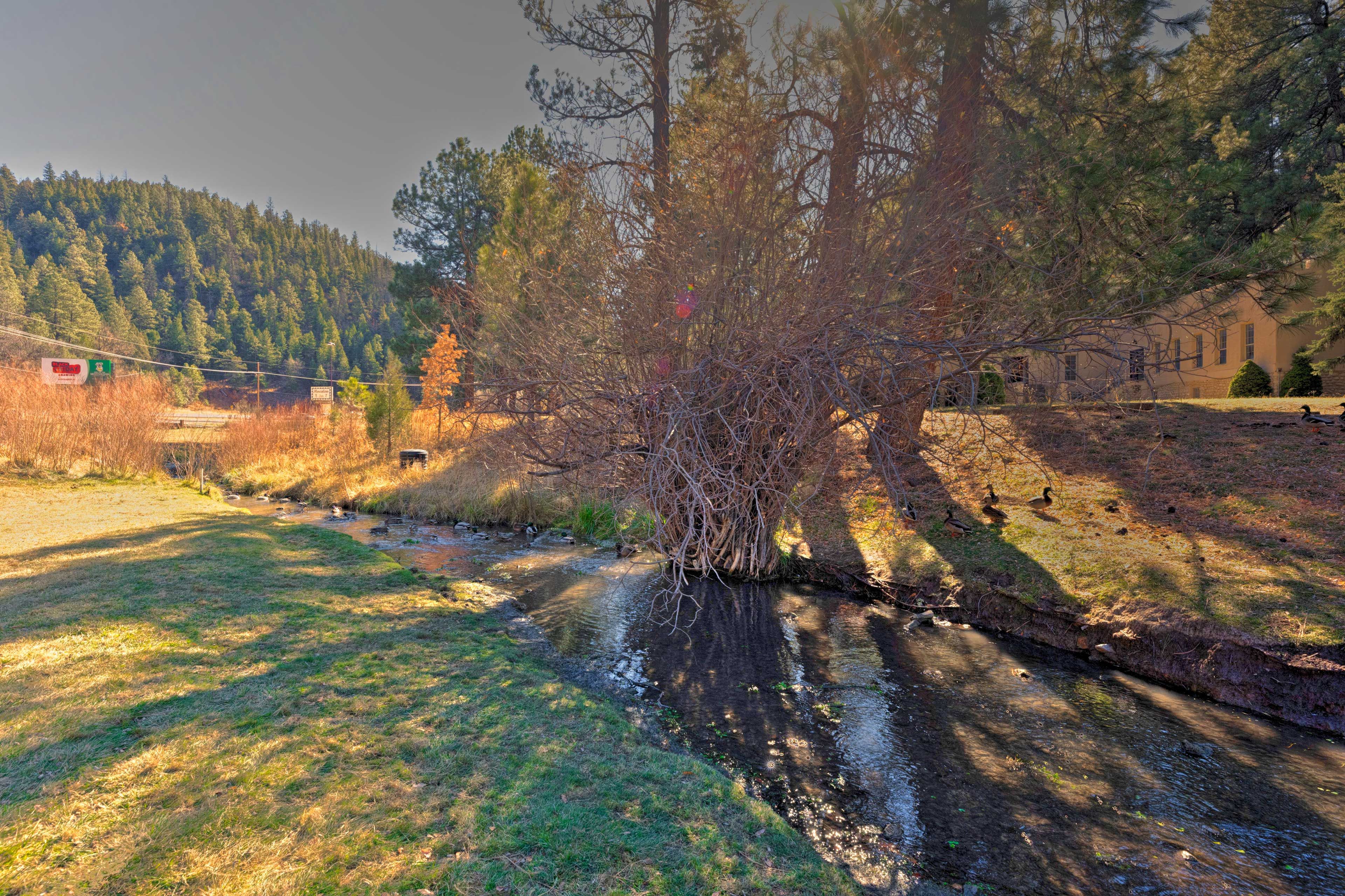 On-Site Creek