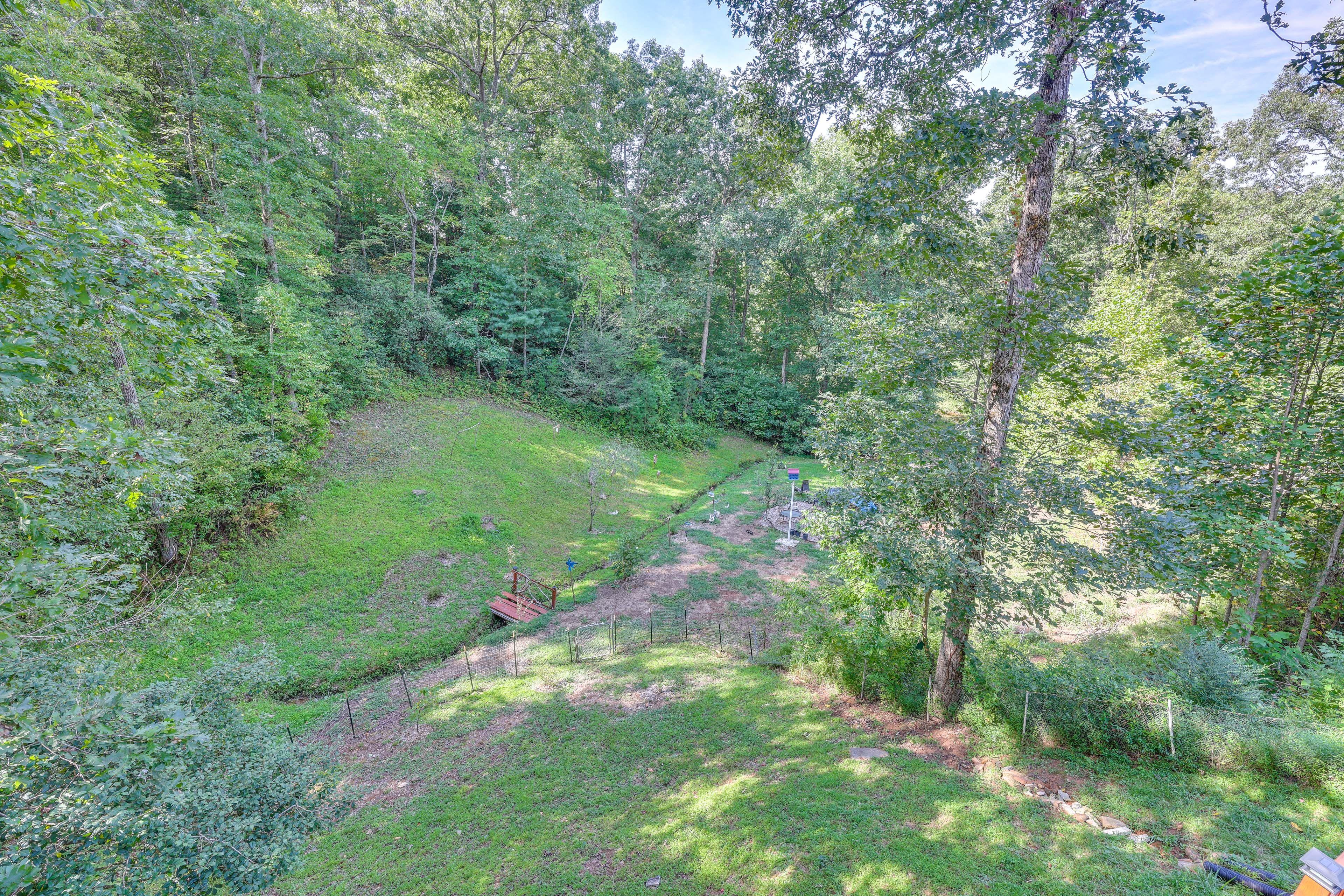 Shared Yard | Field/Camping Area