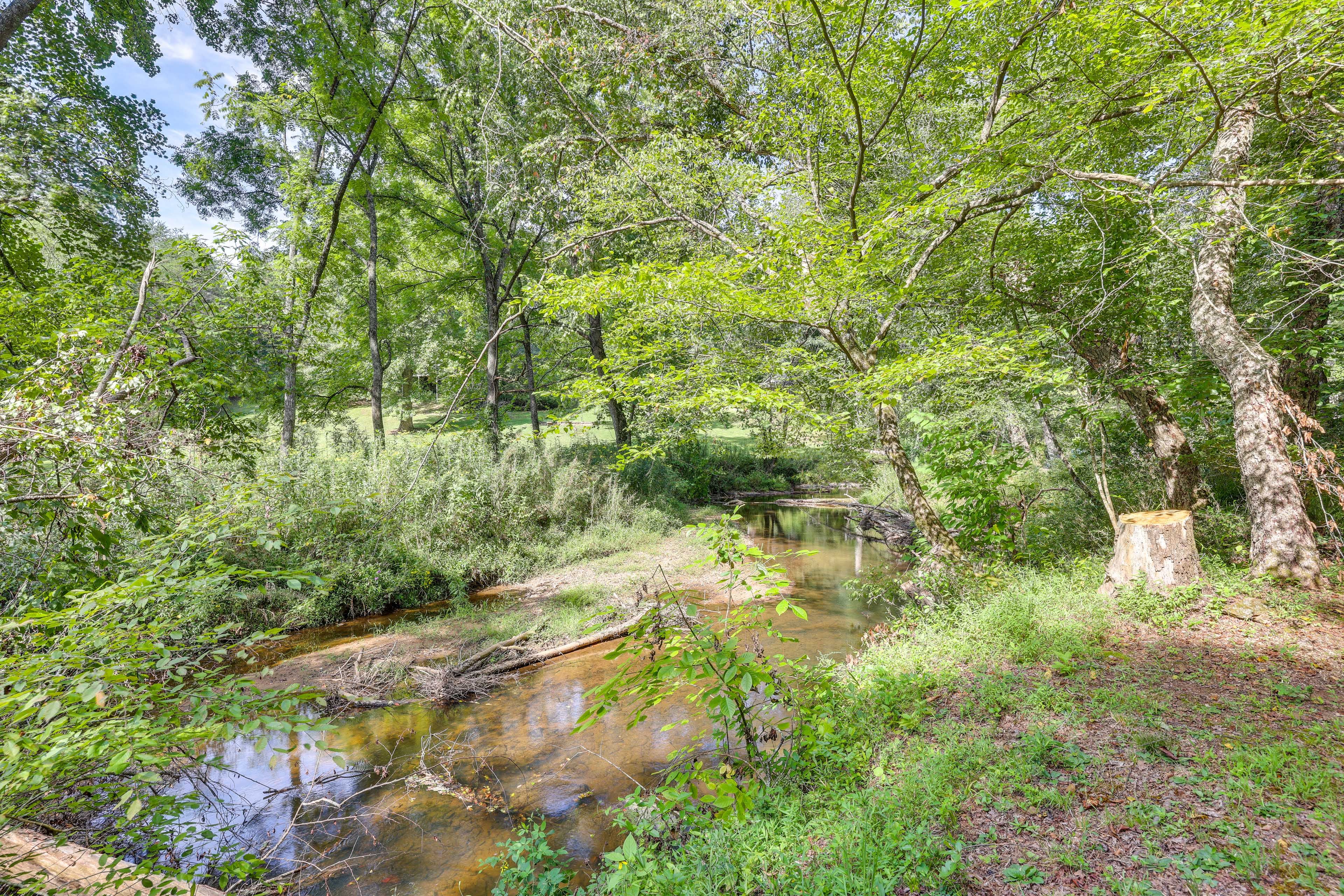 Creek View from Property
