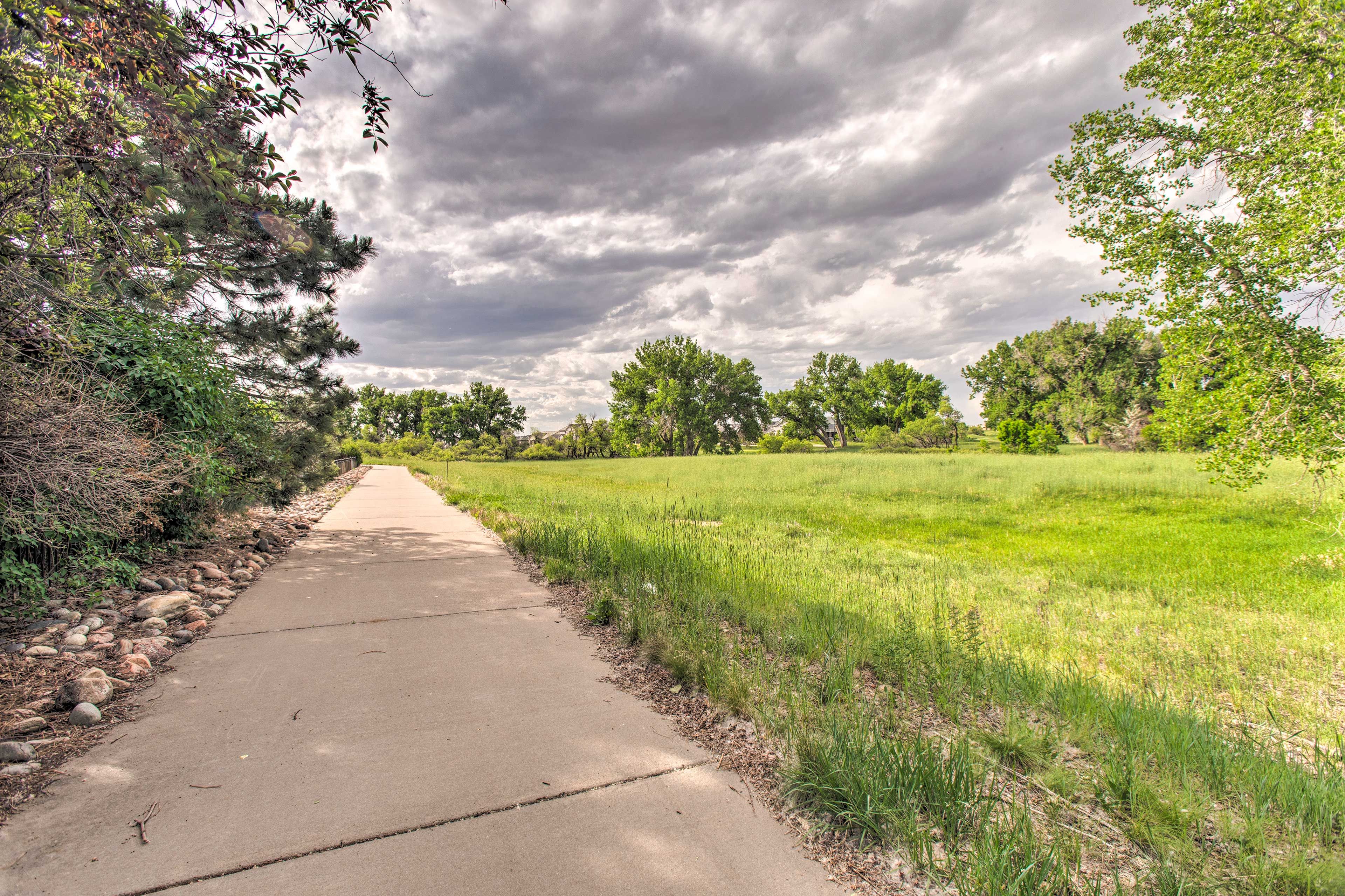 Neighborhood Views