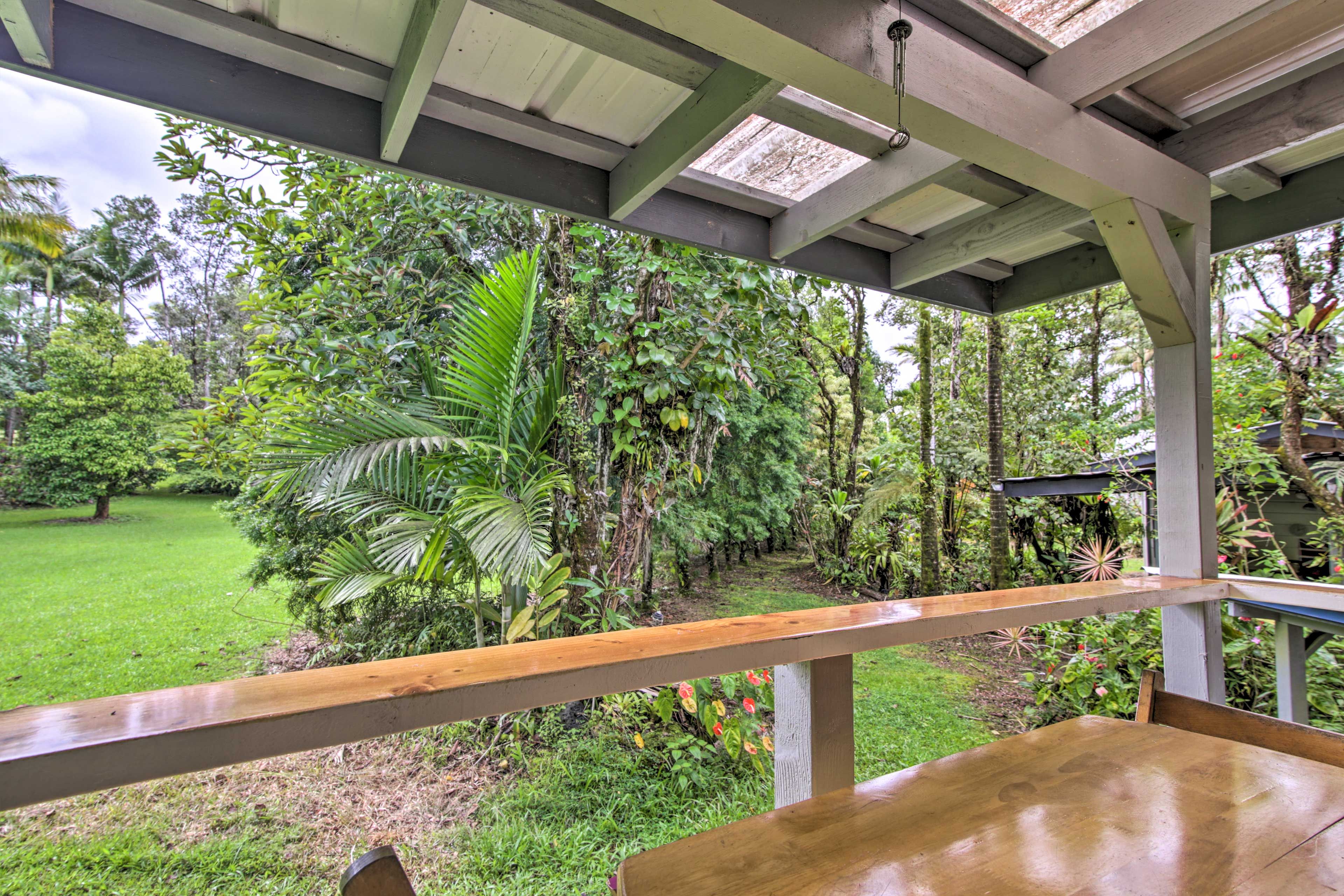 View from Covered Porch