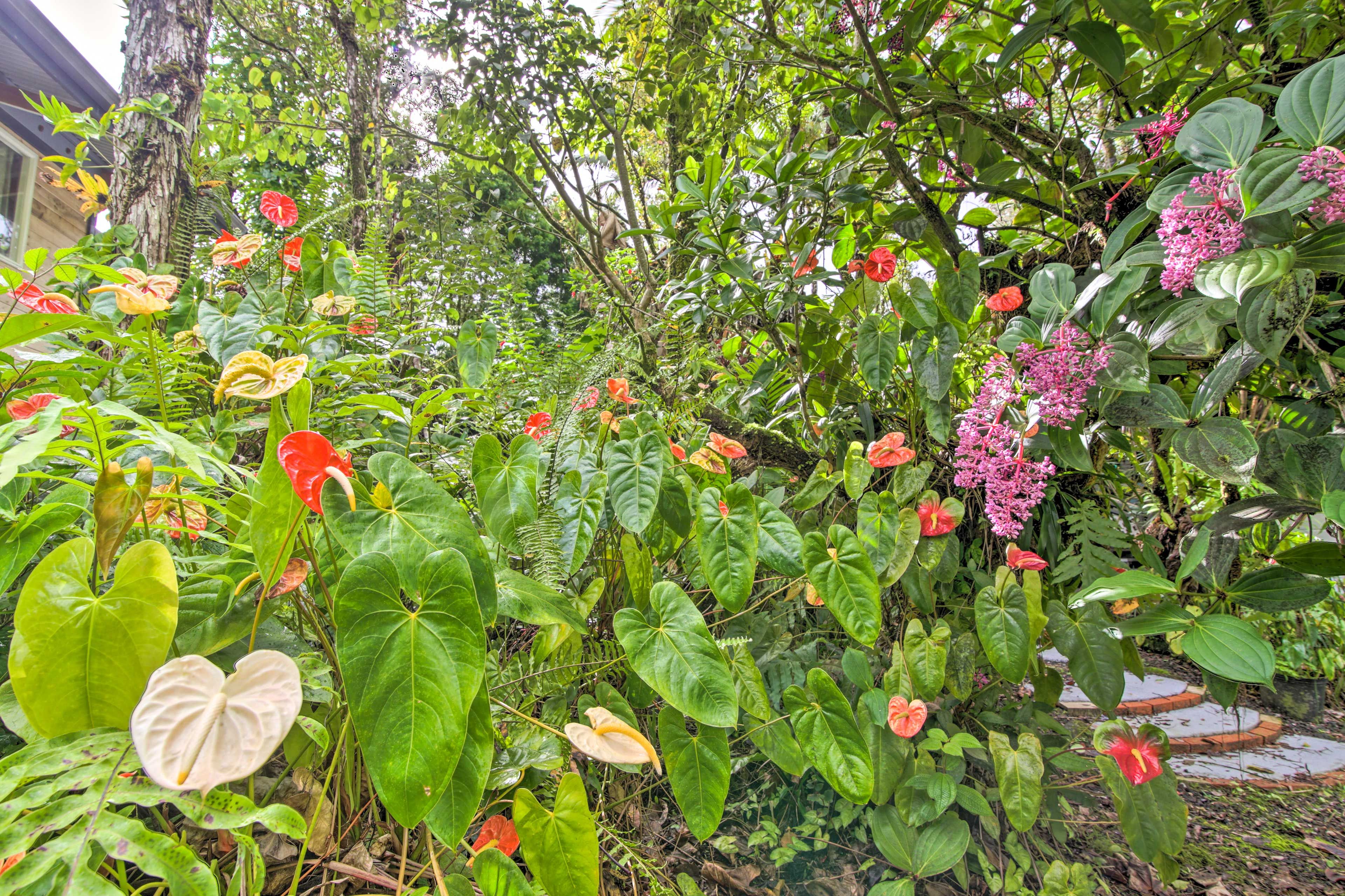 Natural Surroundings