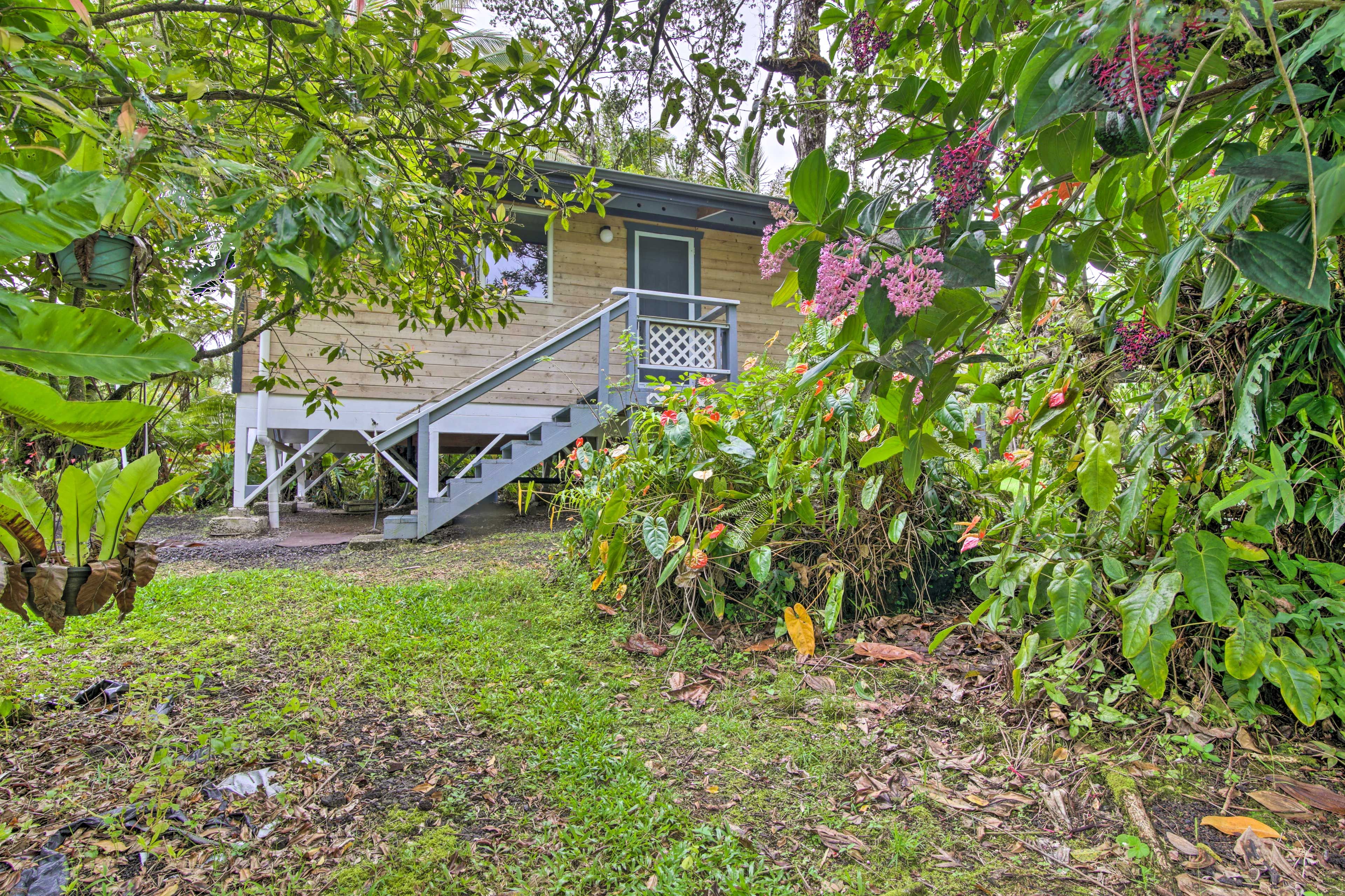 Cabin Exterior | Homeowner & Another Bookable Vacation Rental On-Site