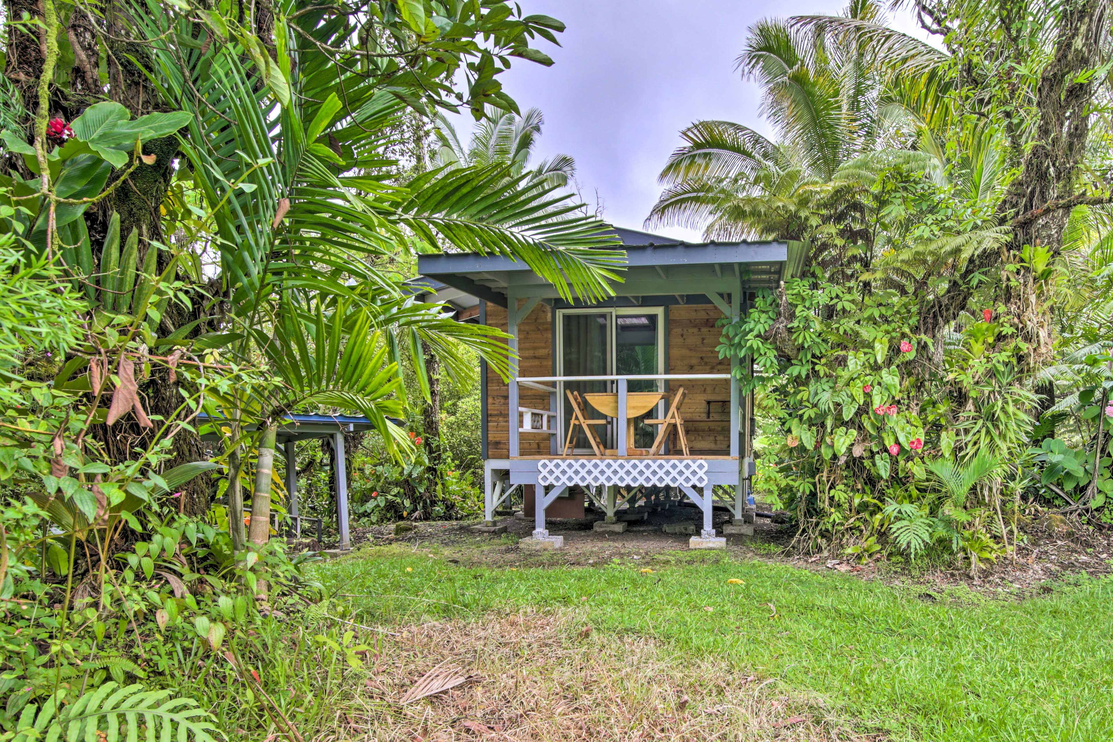 Cabin Exterior