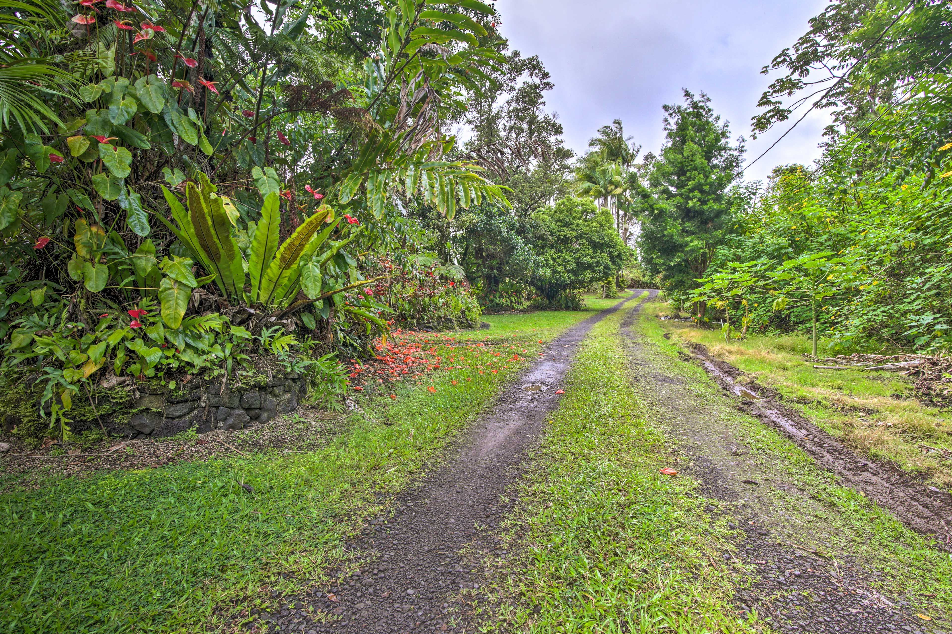 Natural Surroundings