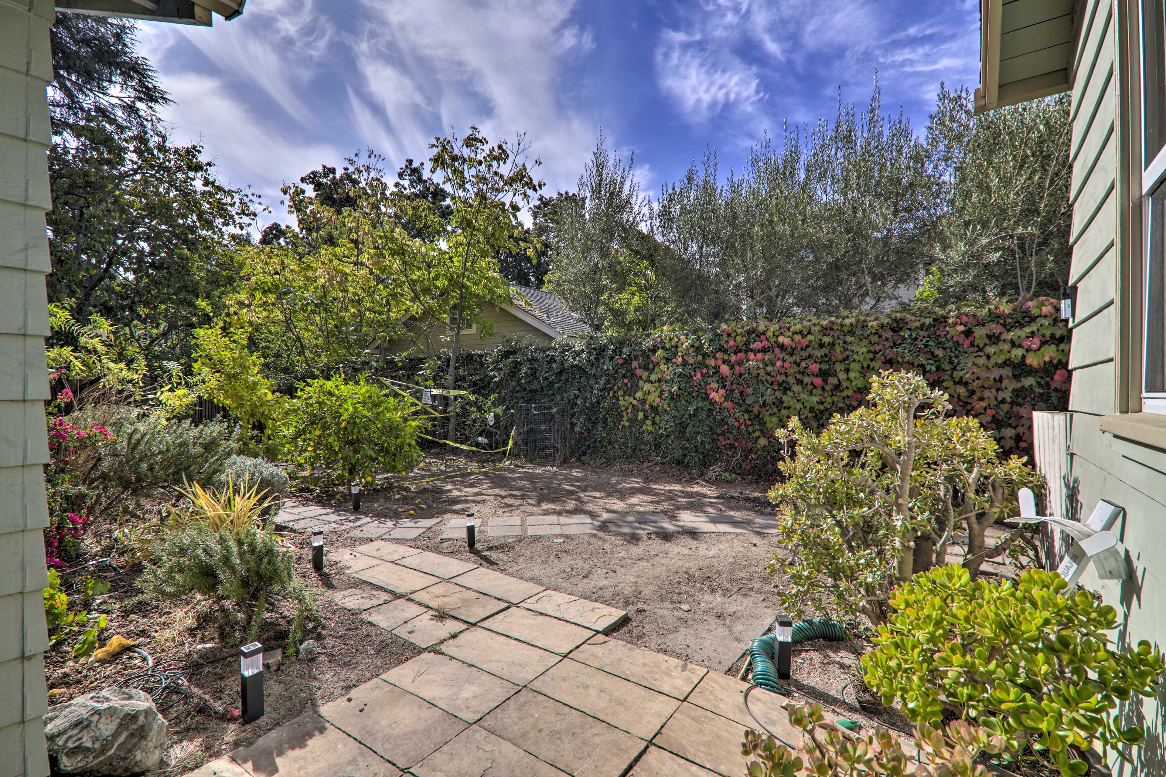 Shared Backyard
