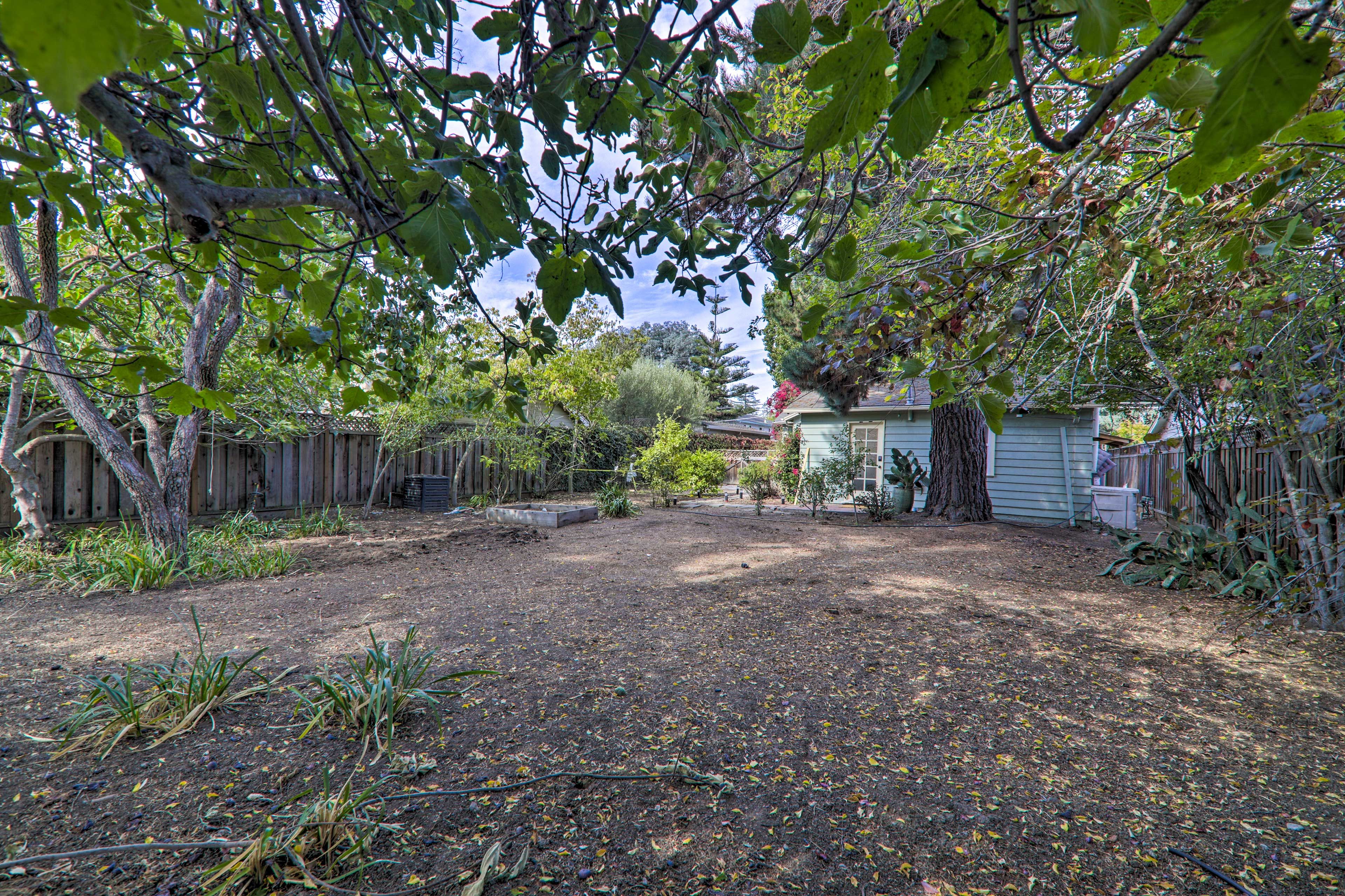 Shared Backyard