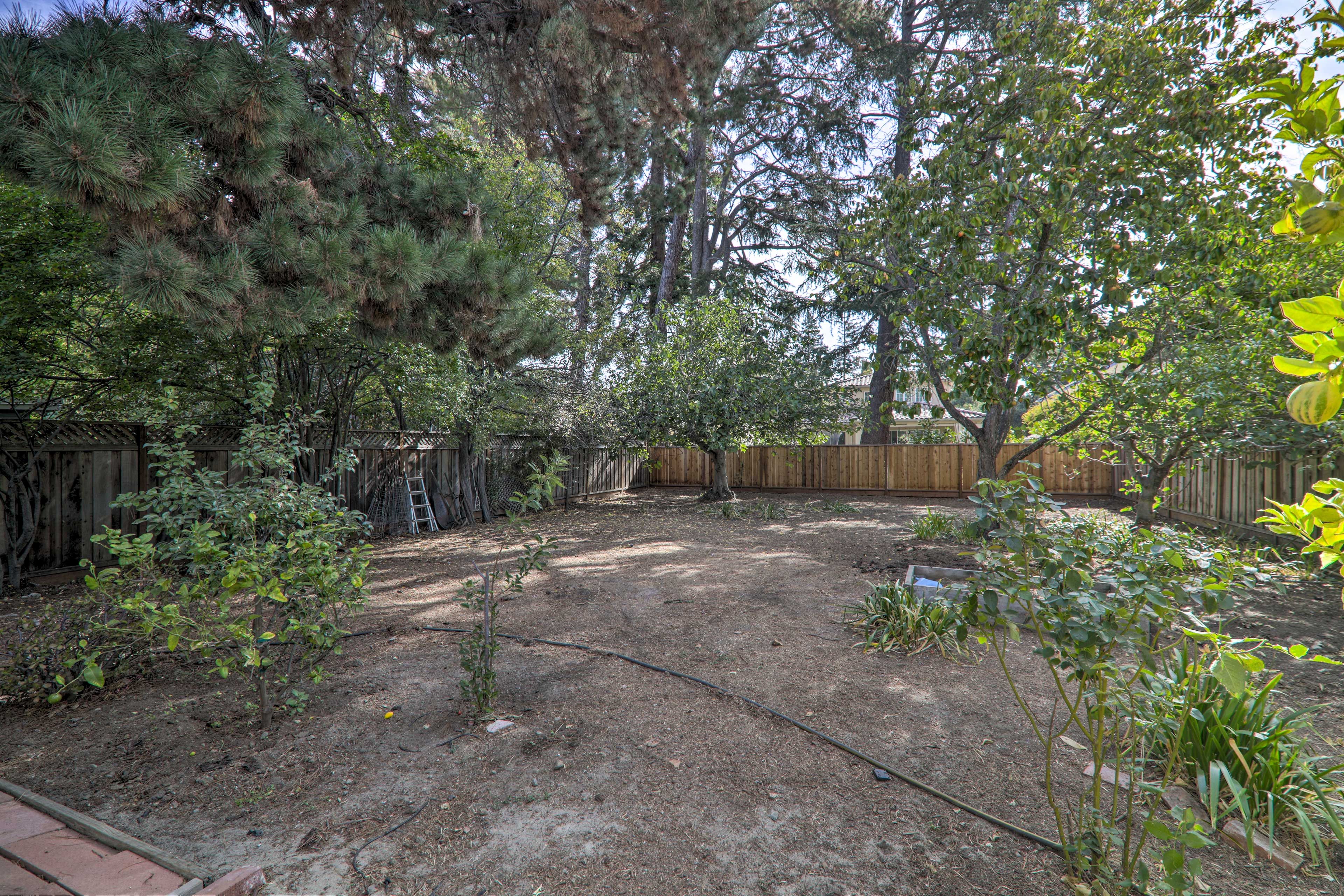 Shared Backyard