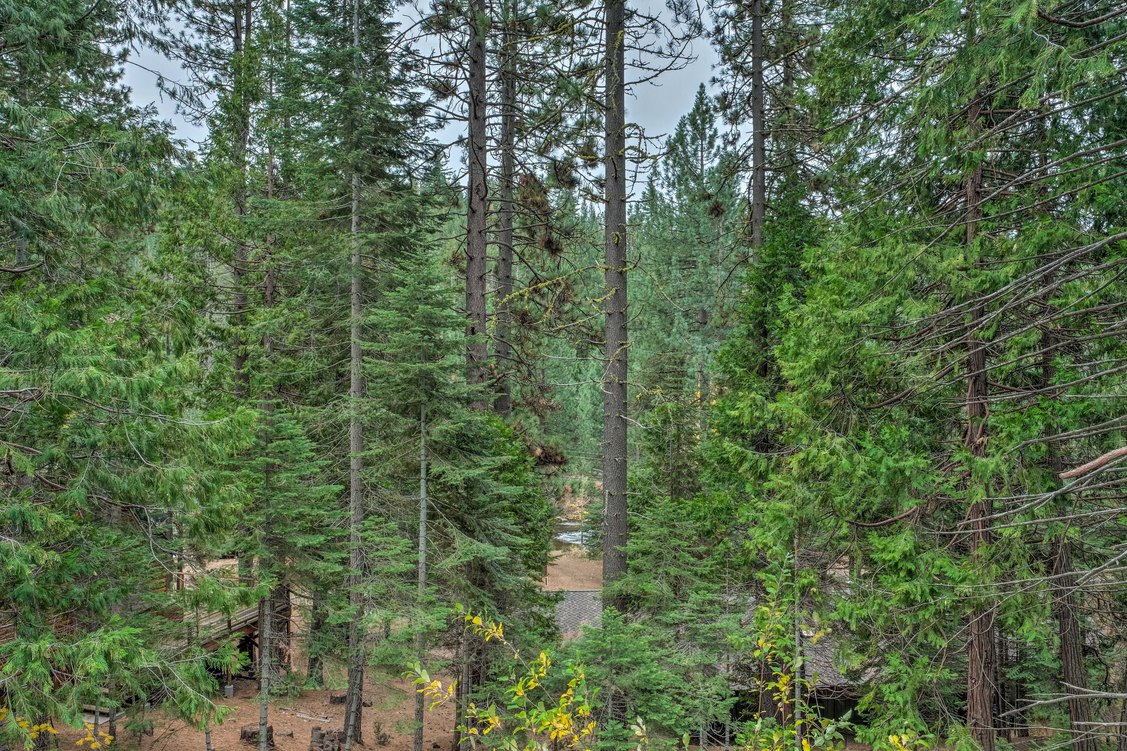 Stanislaus River | Views & Access