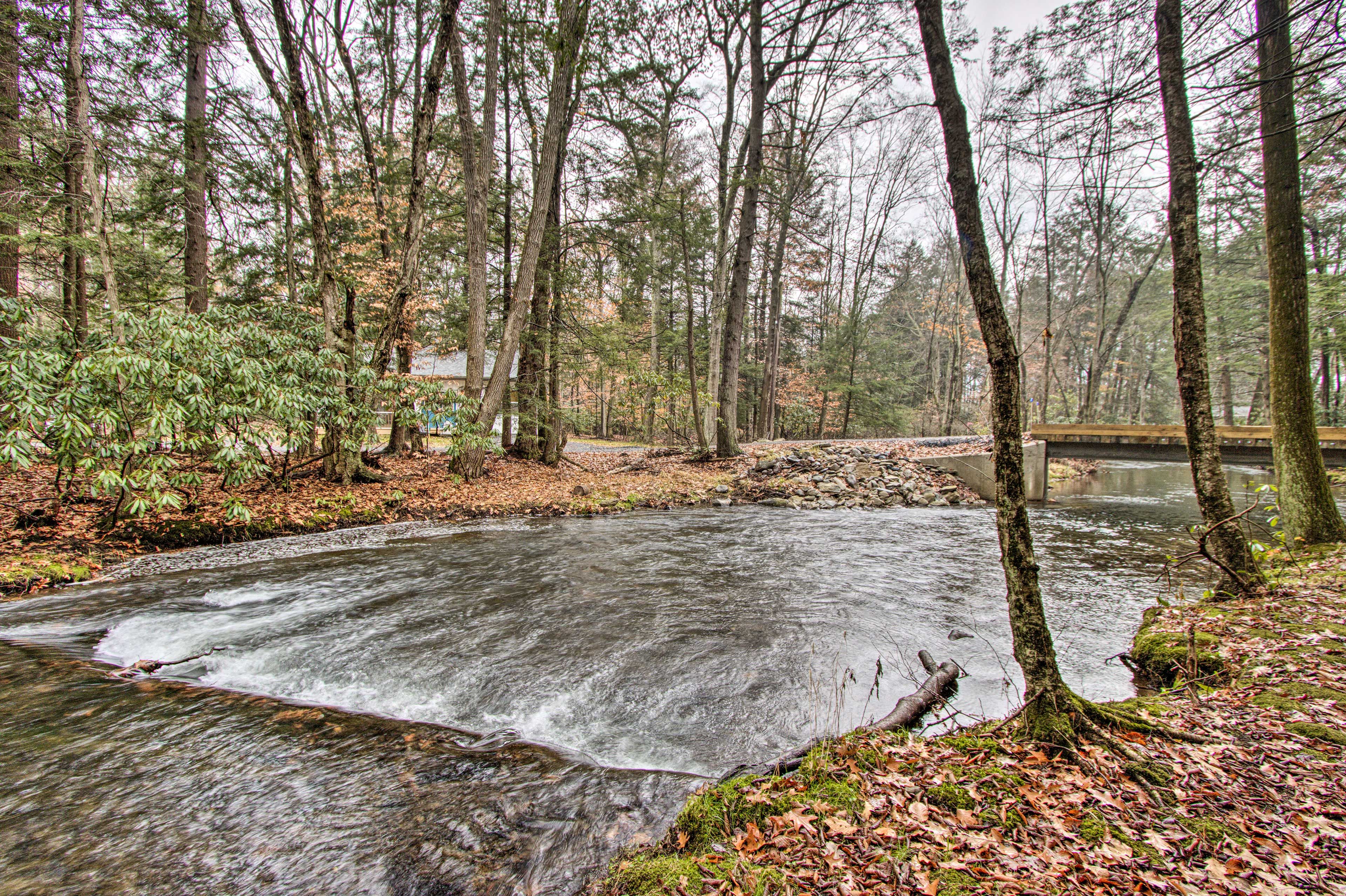 On-Site River