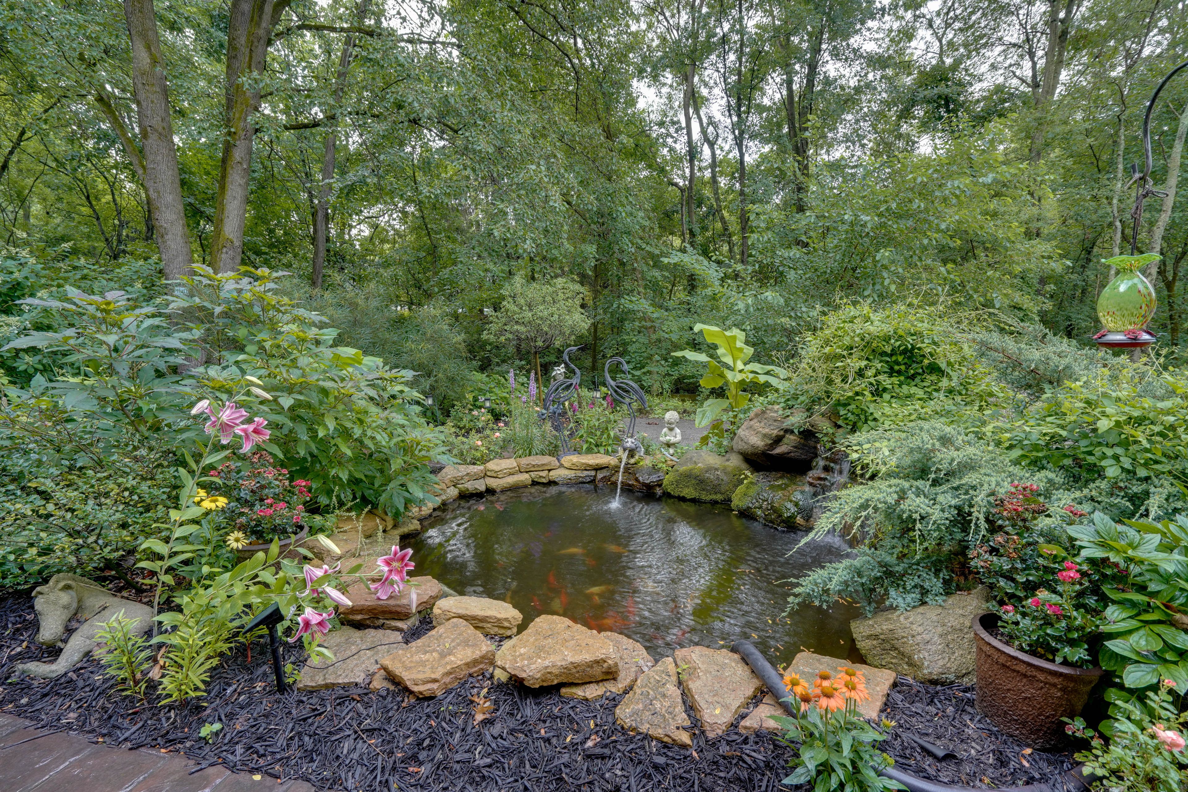 Koi Pond