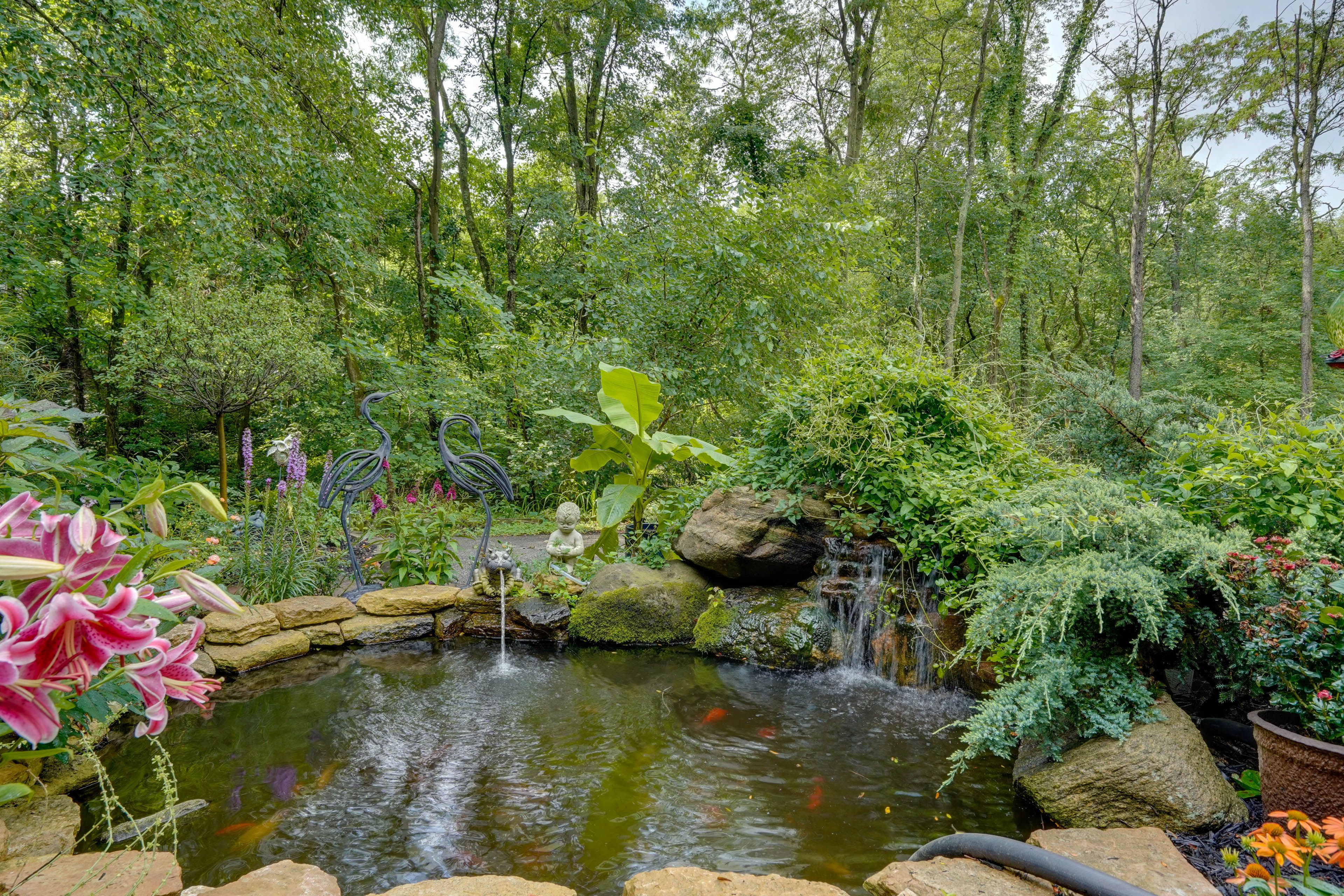 Yard Space | Koi Pond
