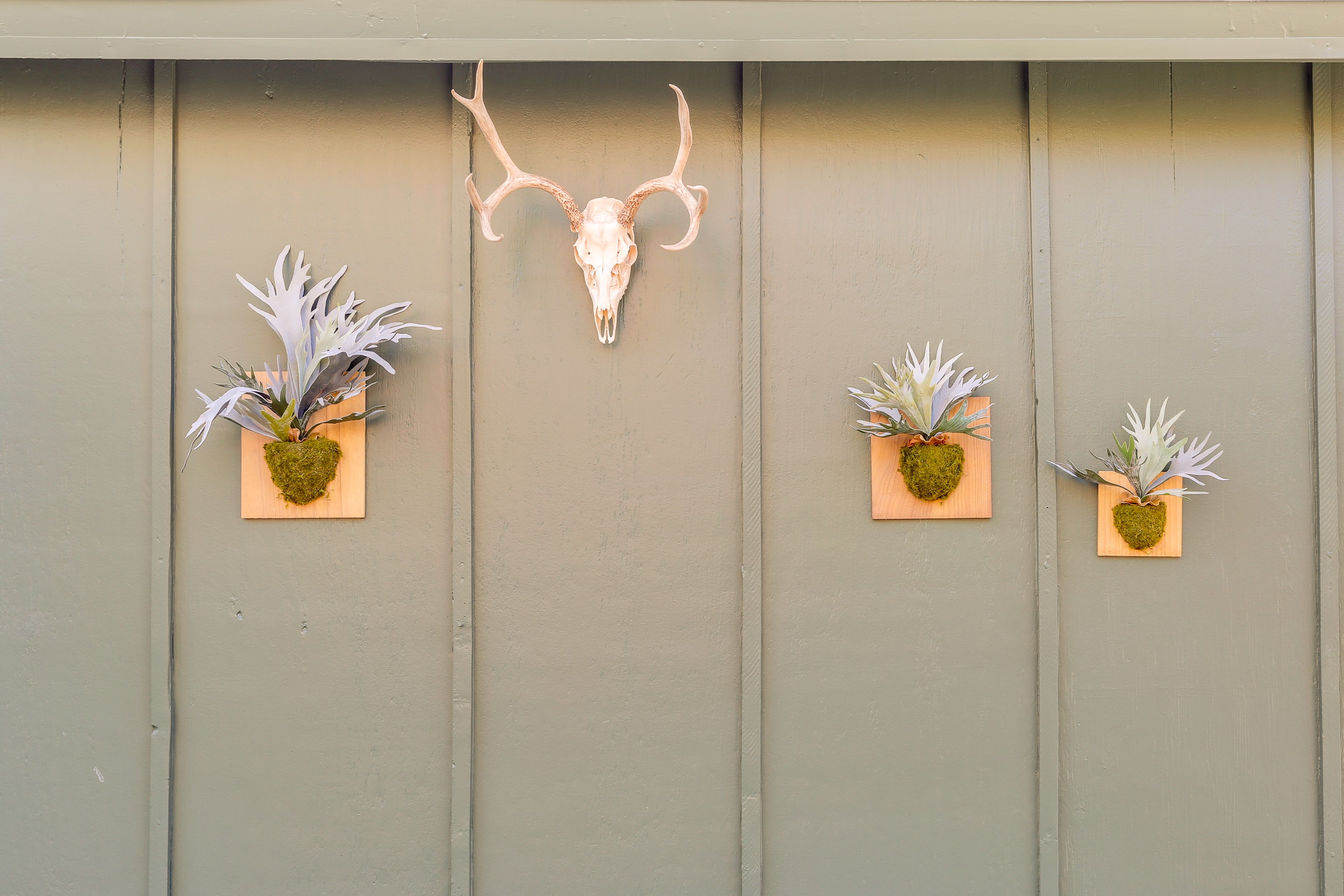 Cabin Exterior | Decor