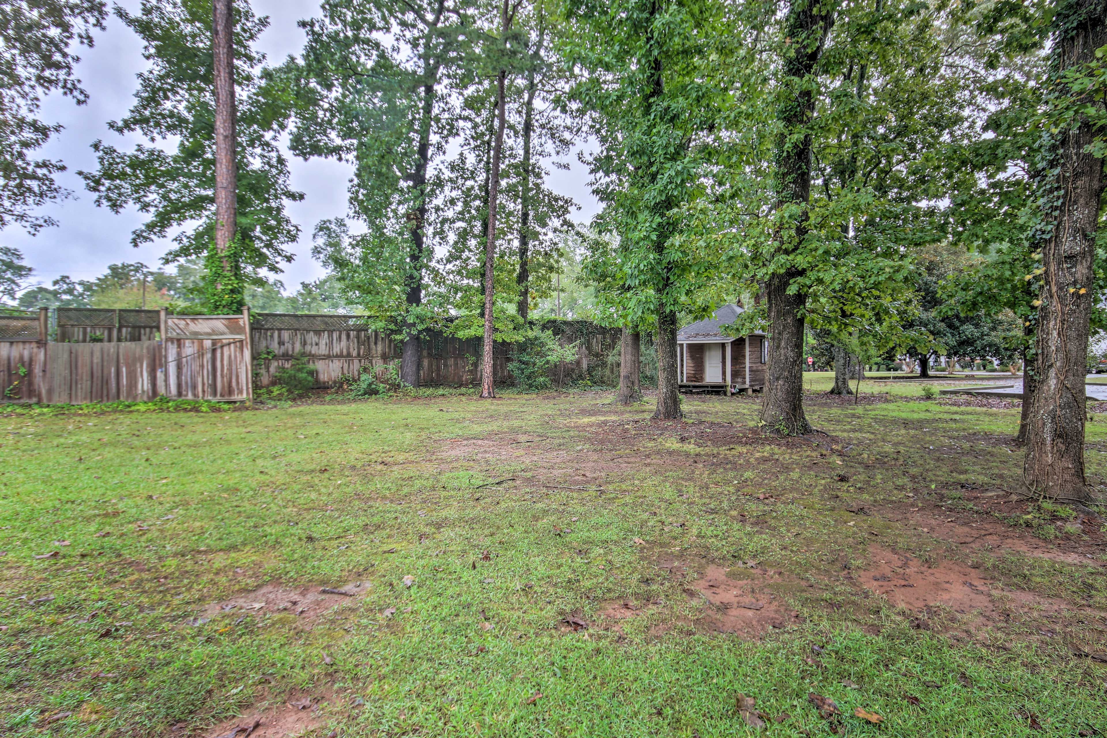 Backyard