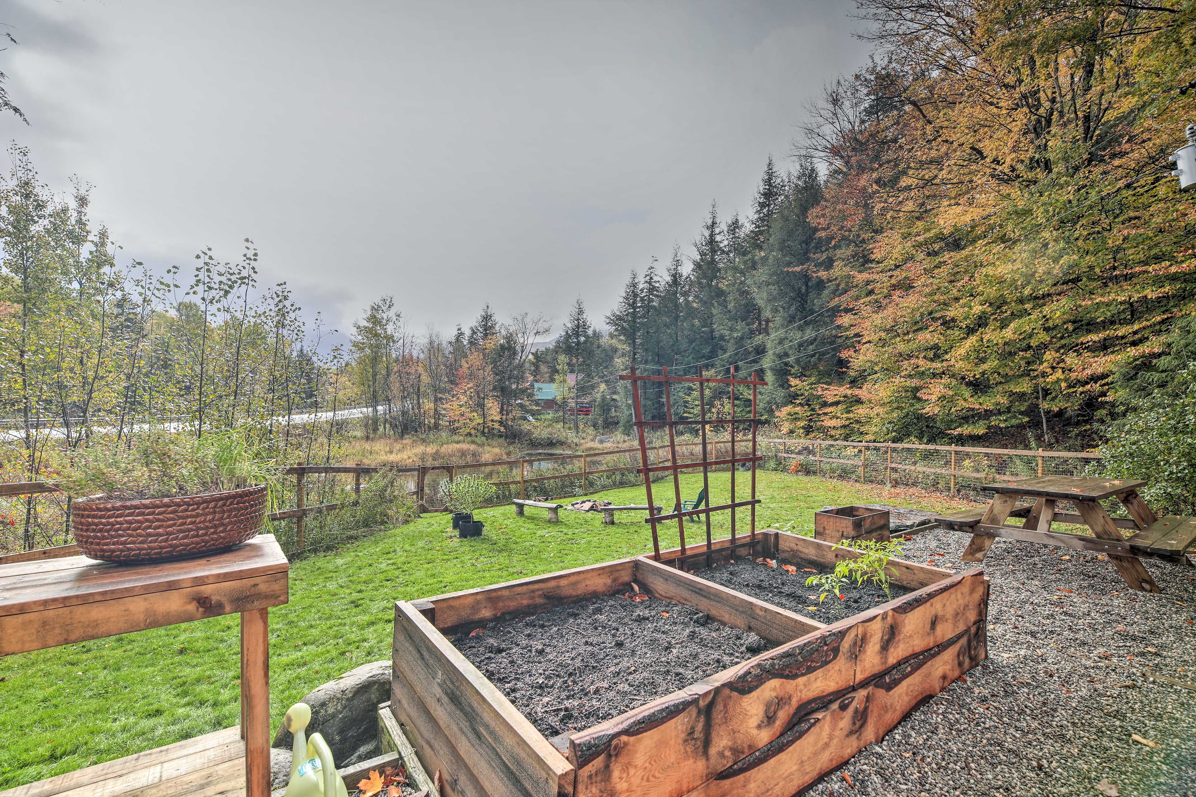 Patio | Fenced-In Yard