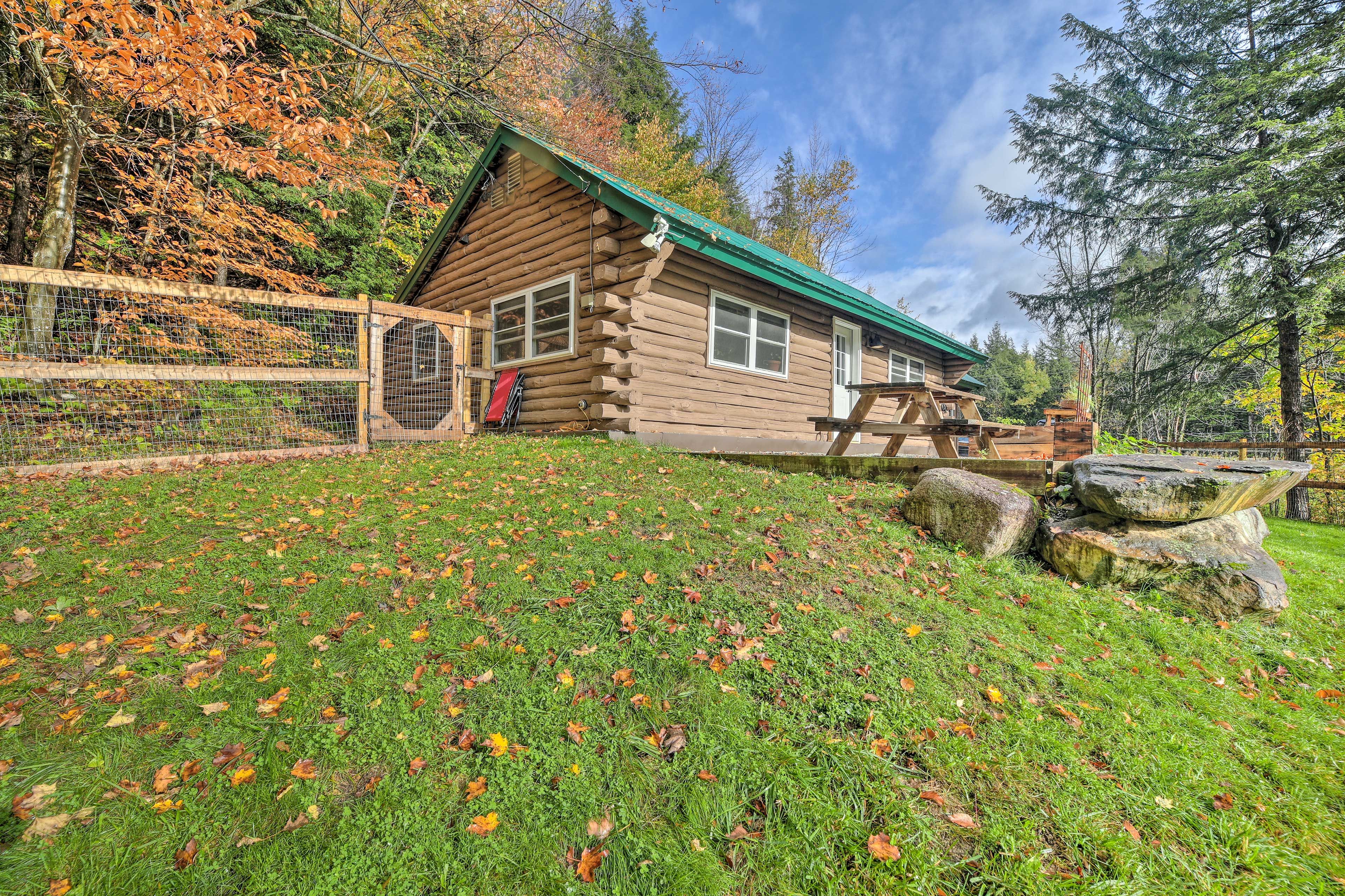 Patio | Picnic Table