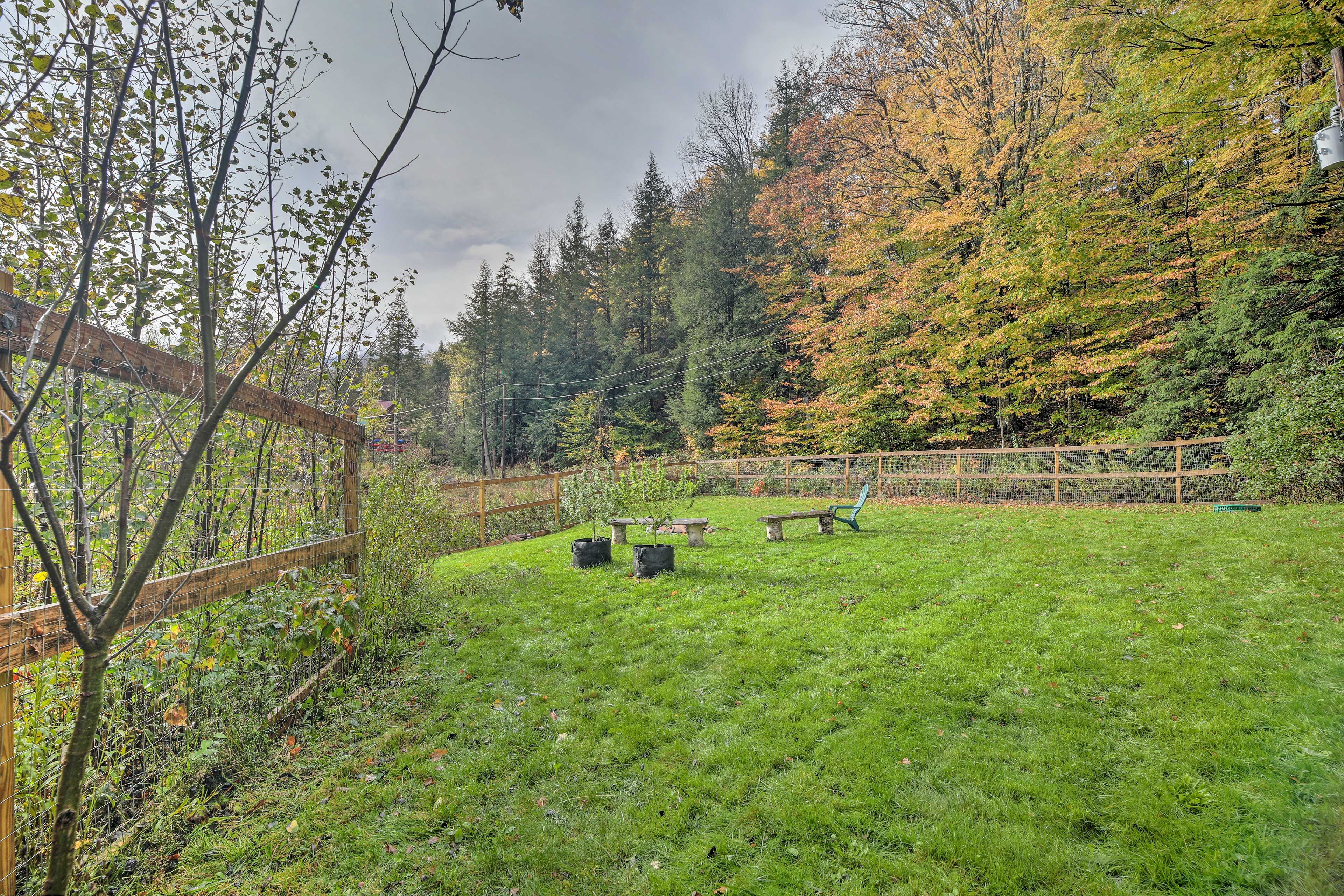 Front Yard | Fire Pit