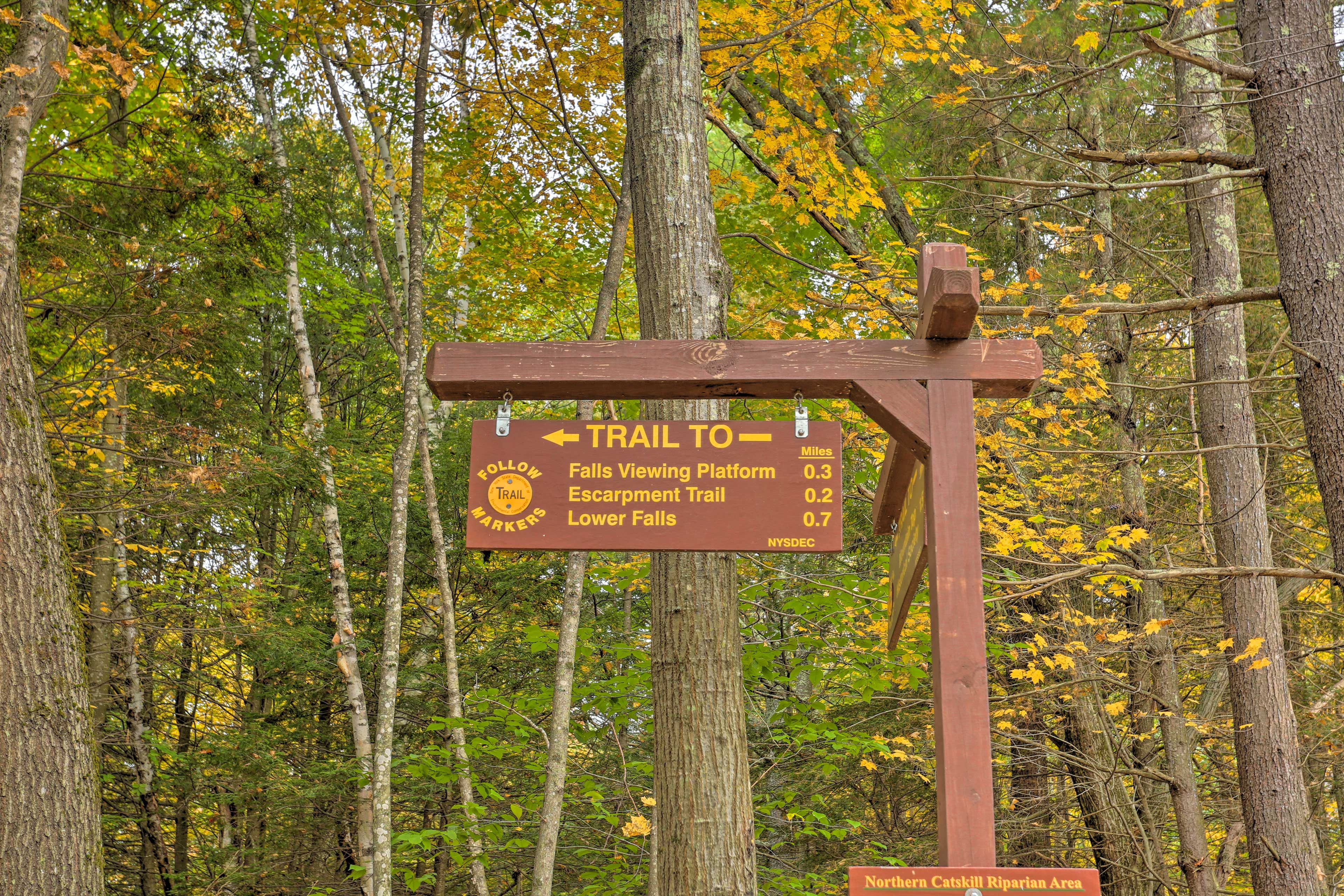 Hiking Nearby