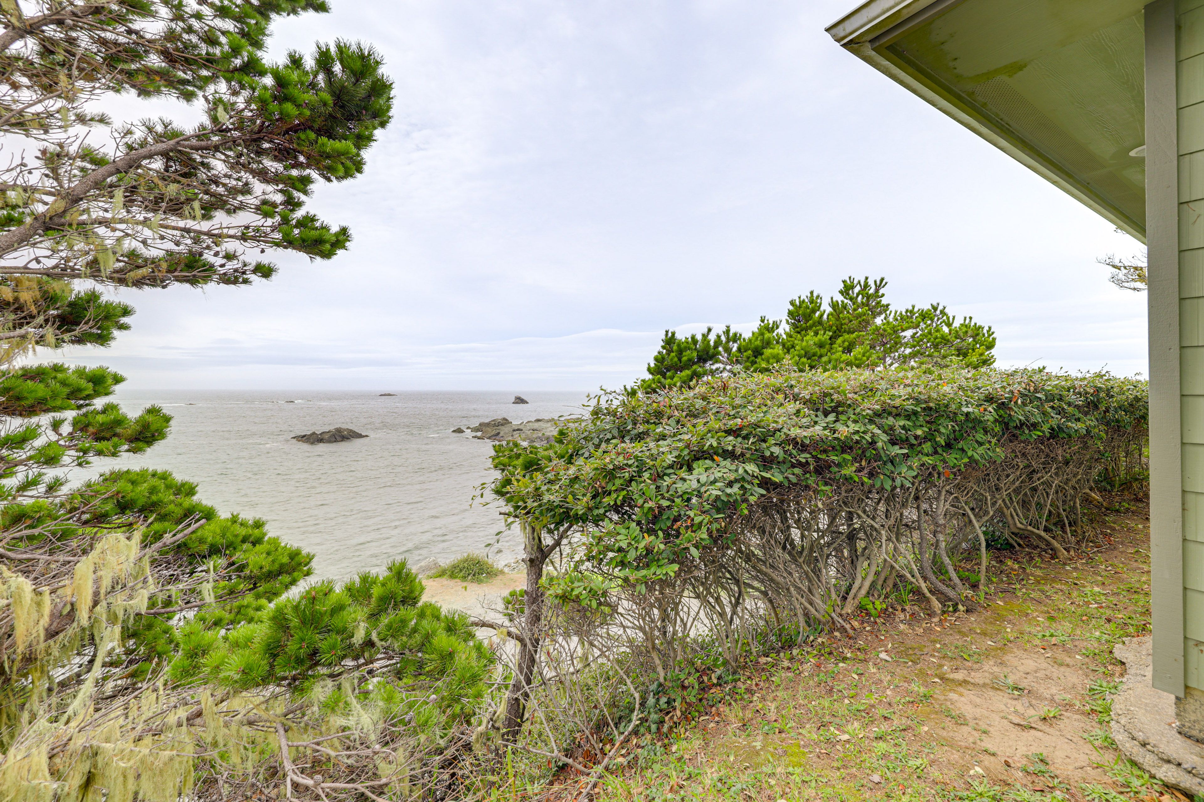 Oceanfront View