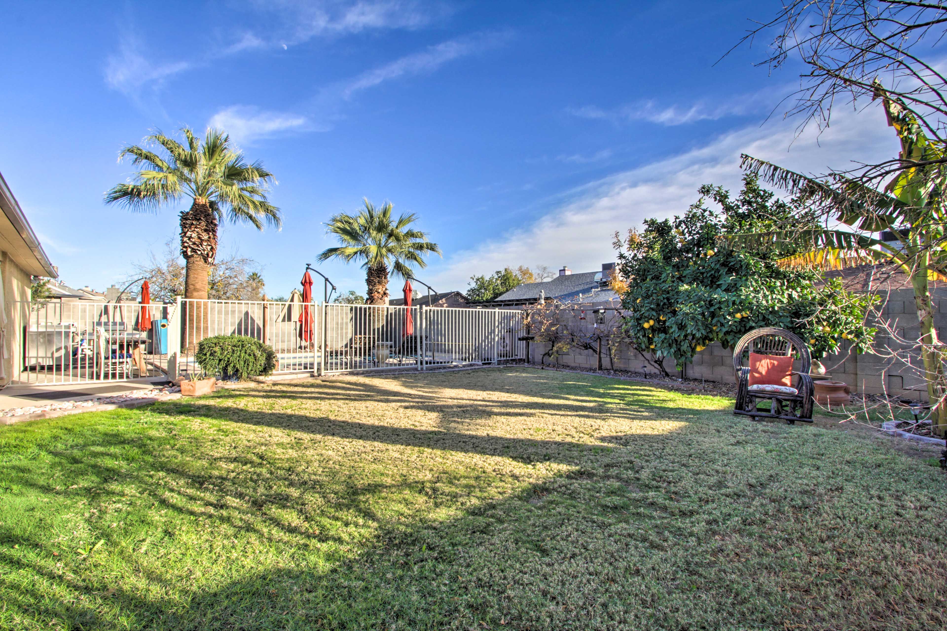 Private Yard