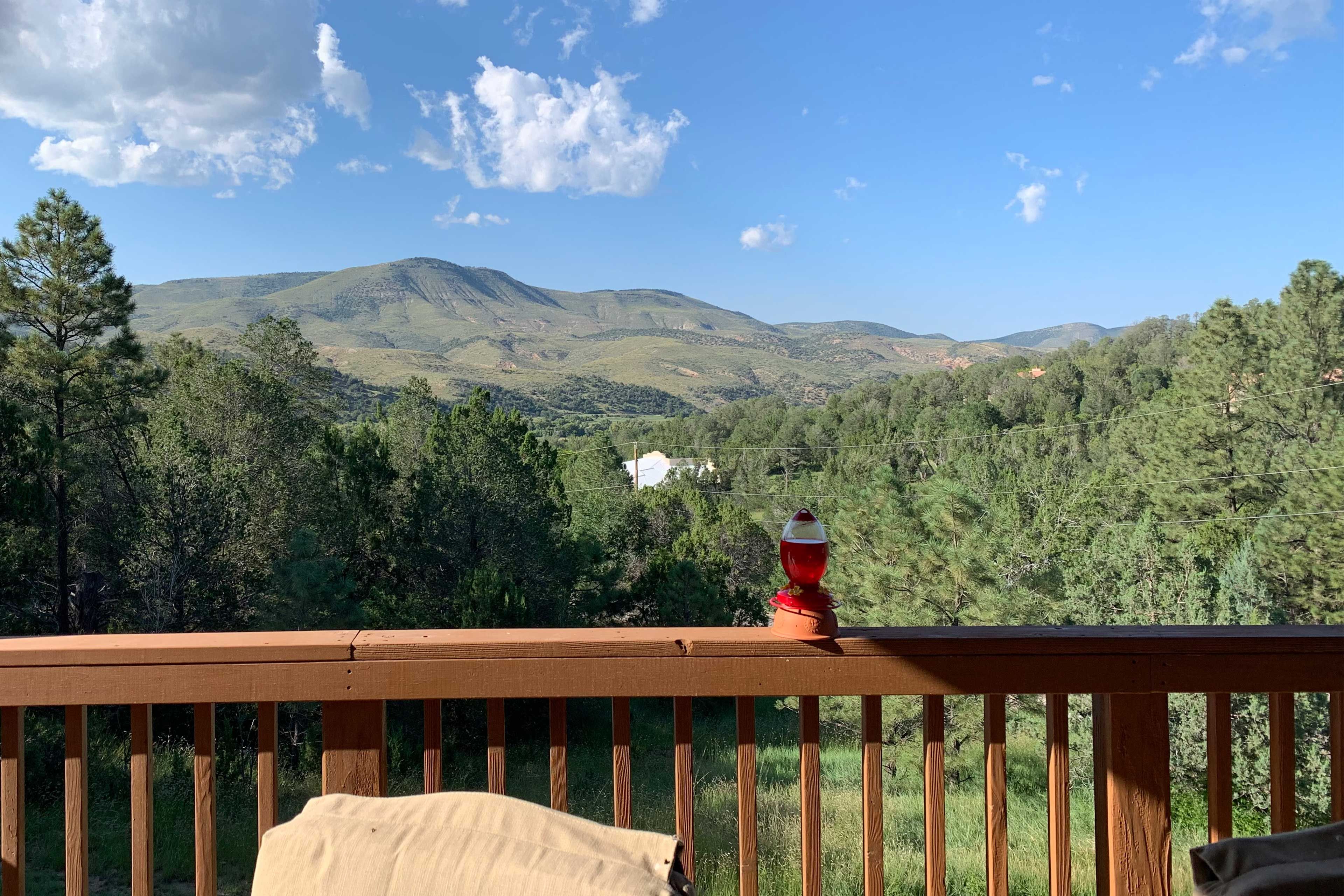 Mountain Views