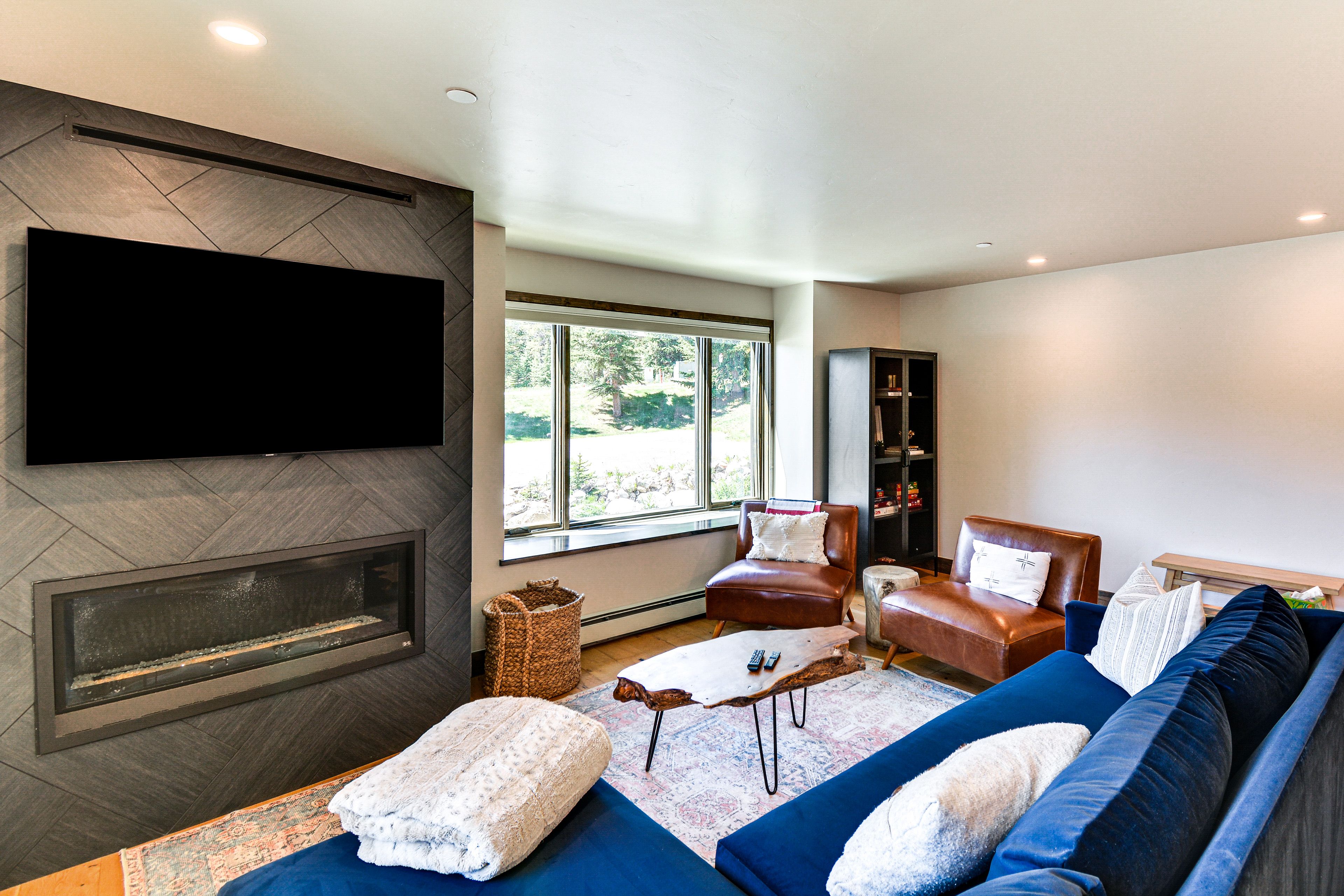 Living Room | Sleeper Sofa | Free WiFi | Central Heating