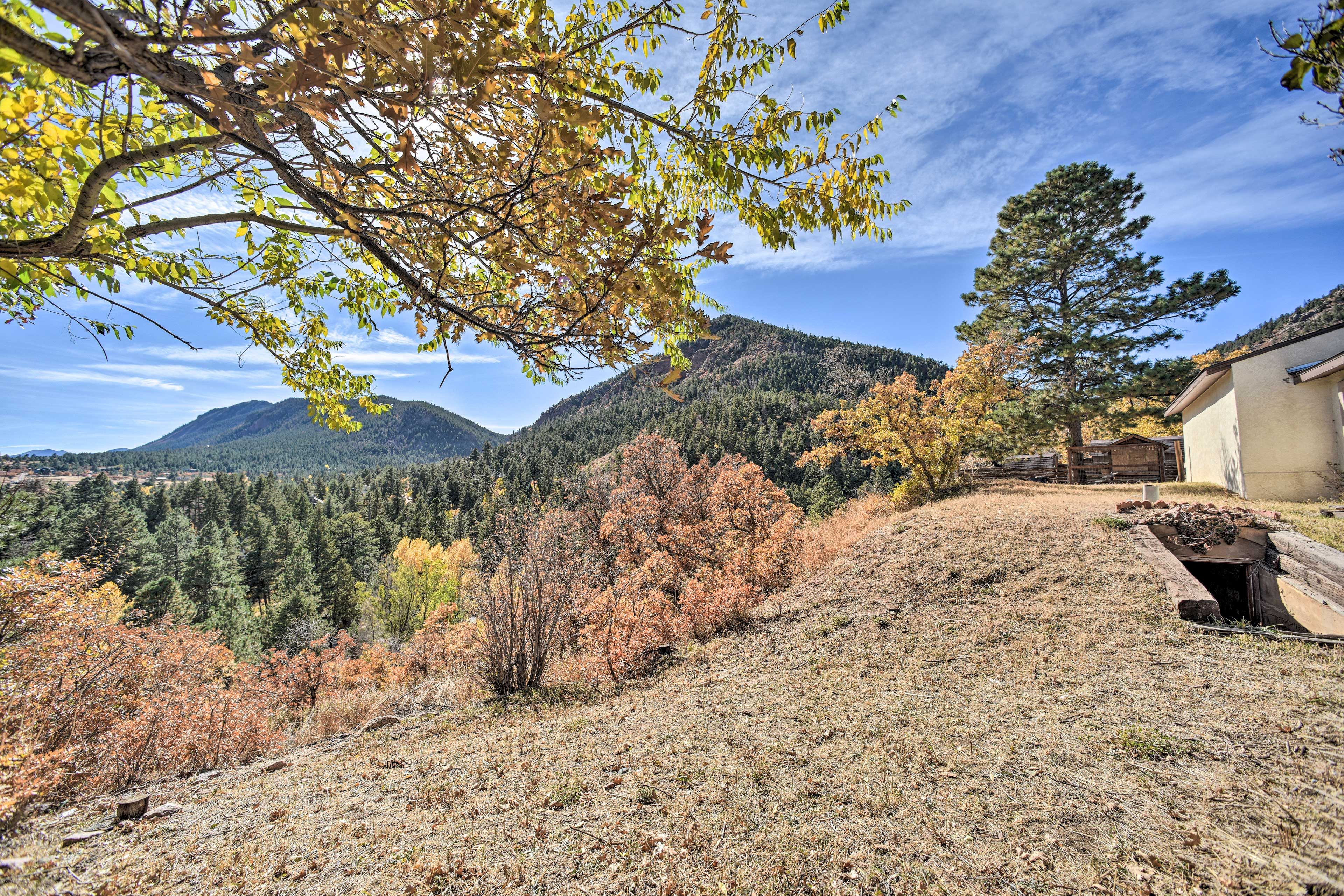 Cabin Exterior | Front Range Views