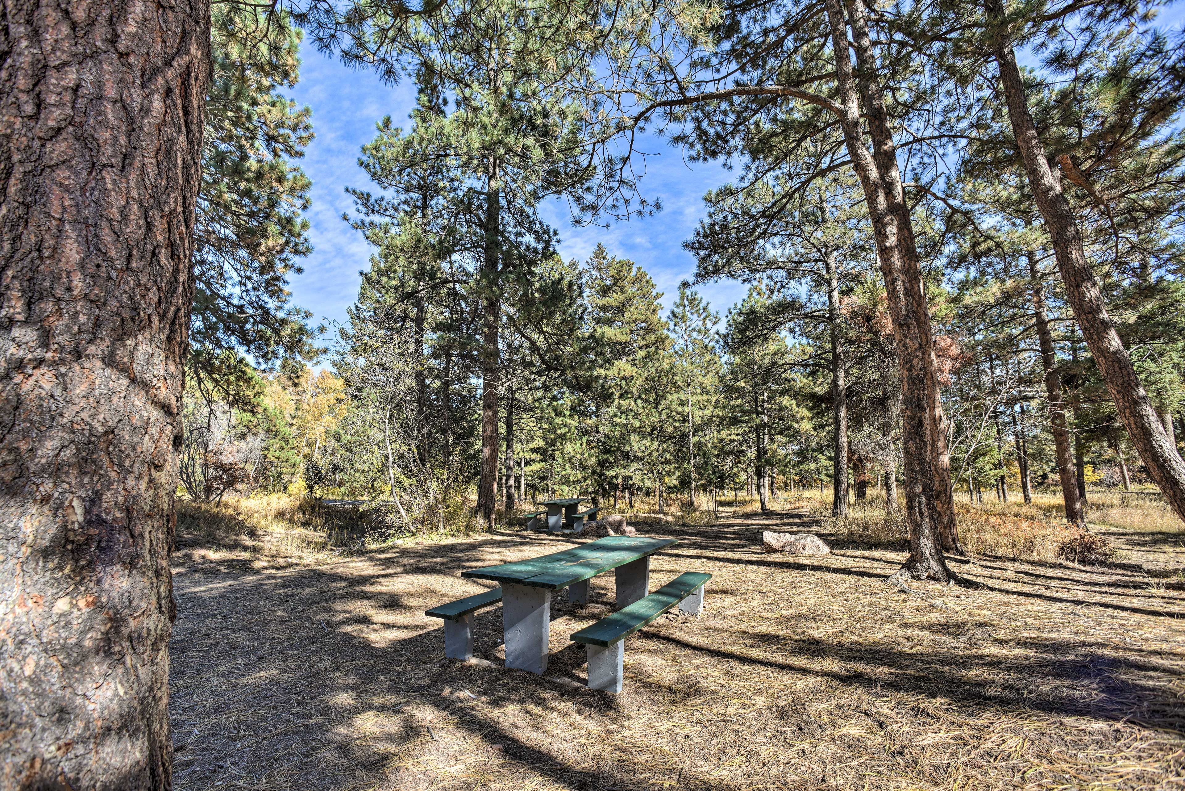 Walk to Picnic Area