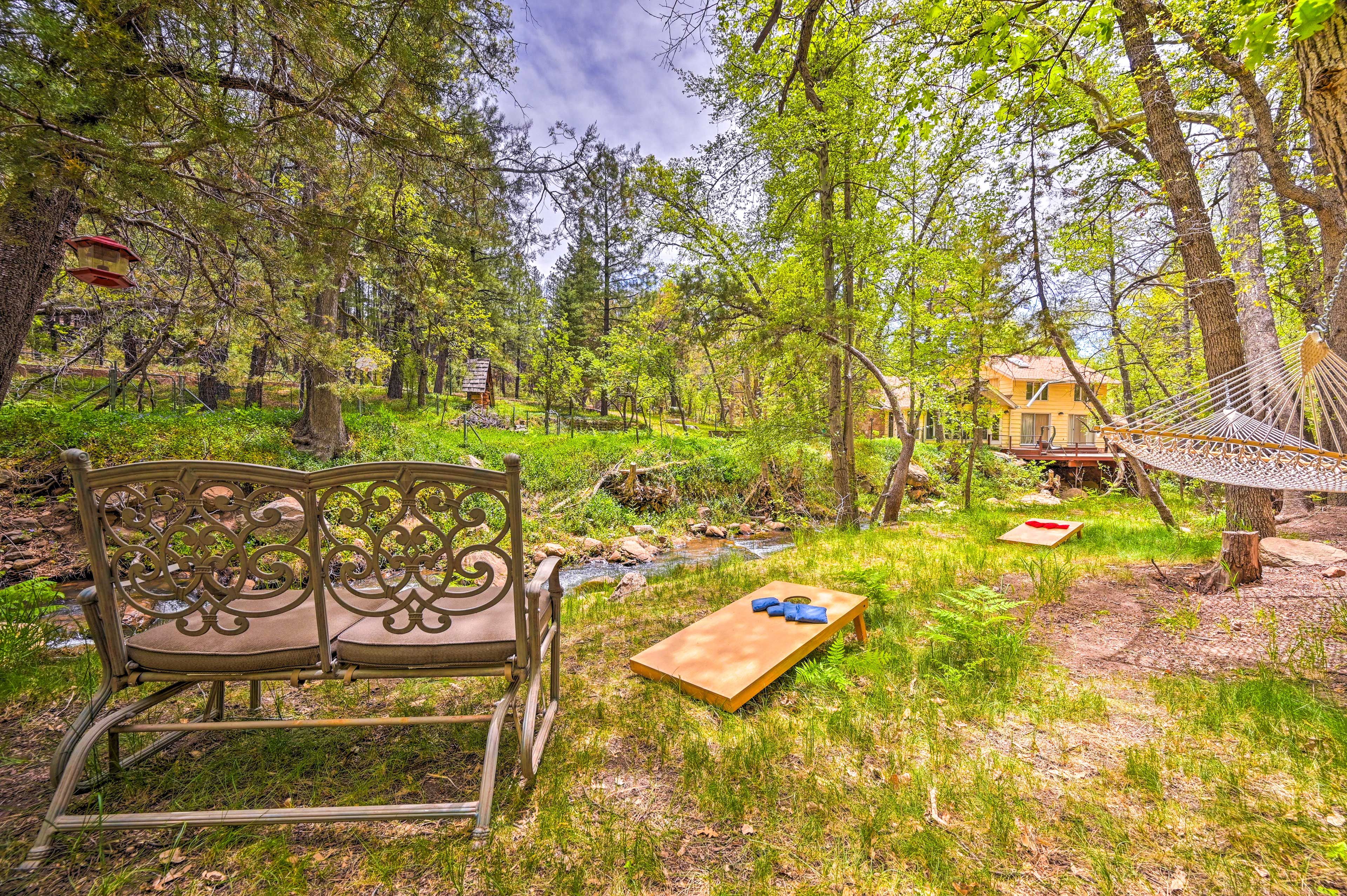 Backyard