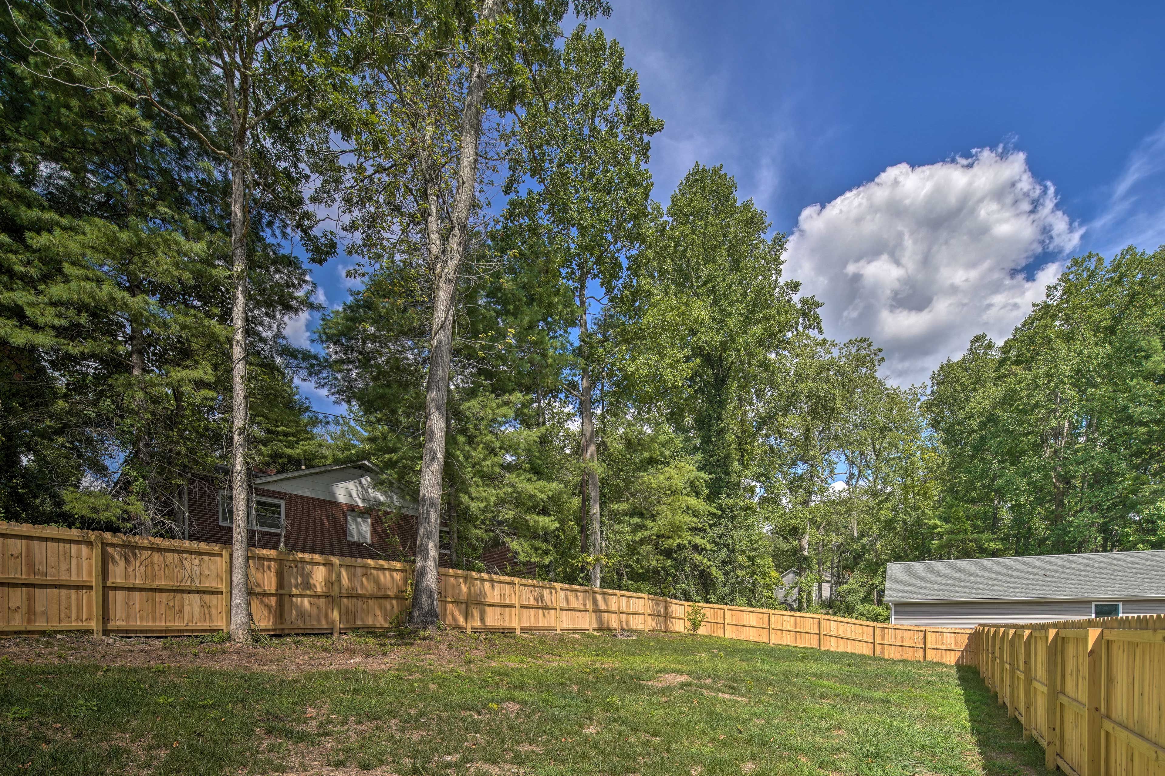 Backyard