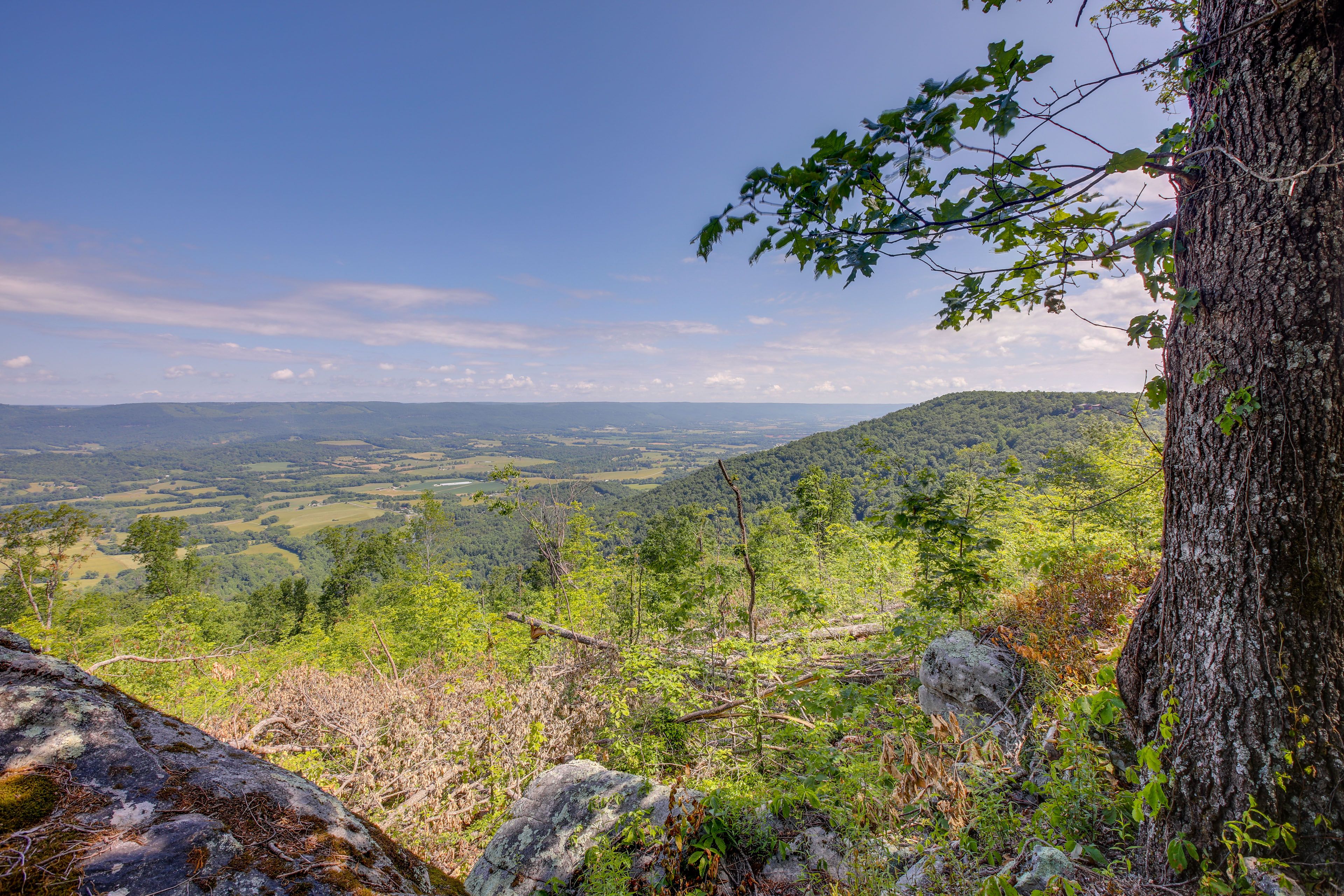 Property Views