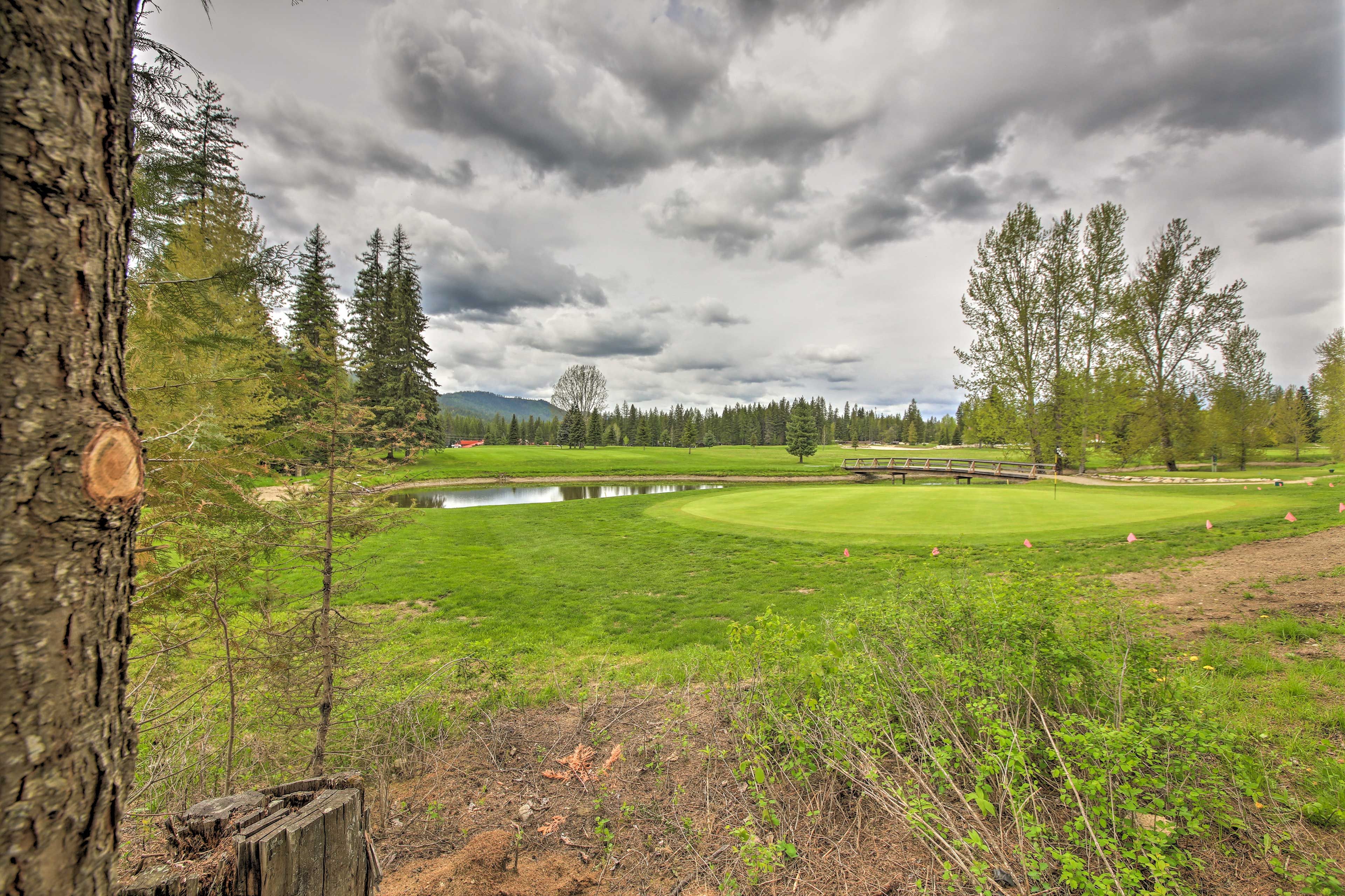 Forest/Mountain/Golf Course Views