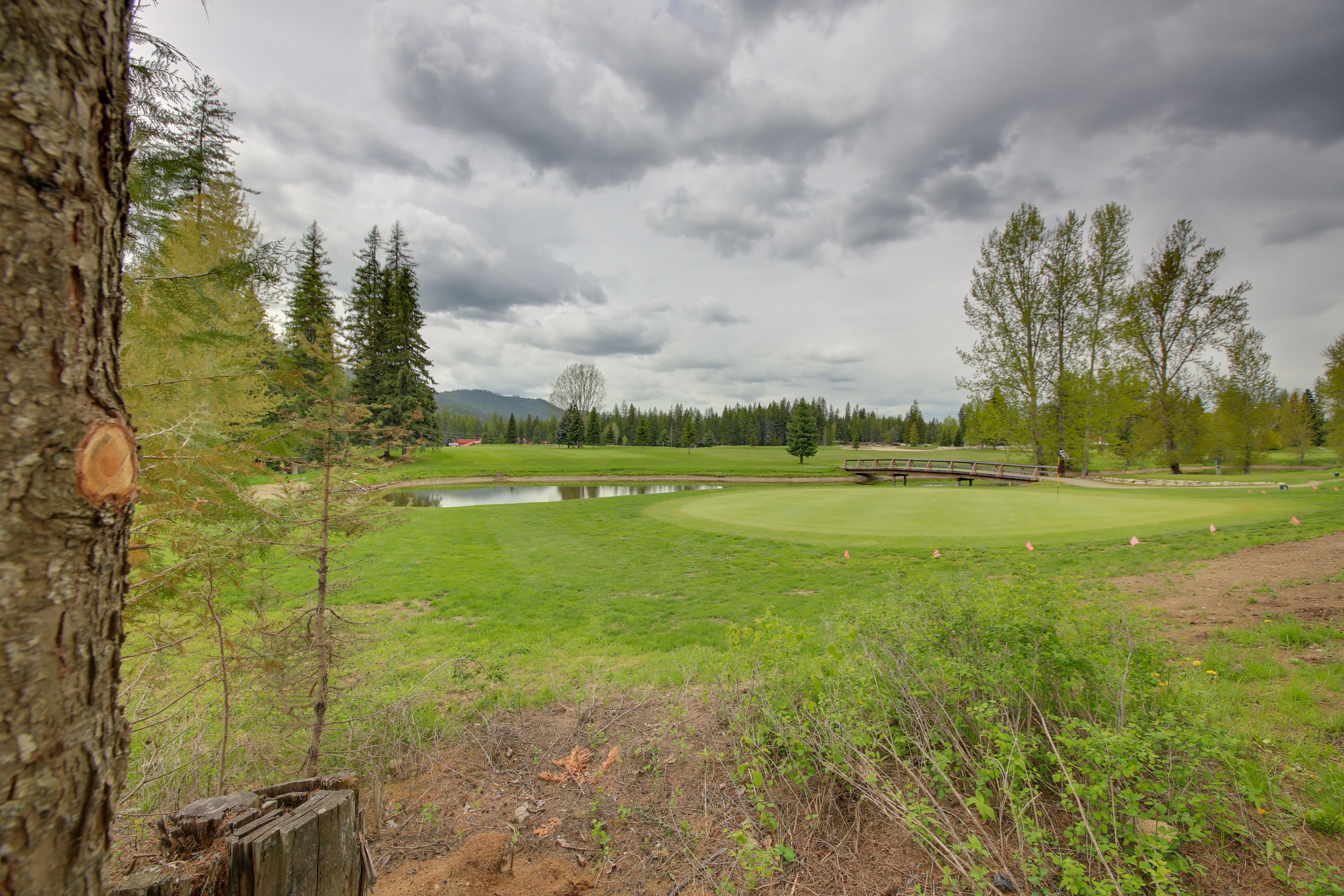 Forest/Mountain/Golf Course Views