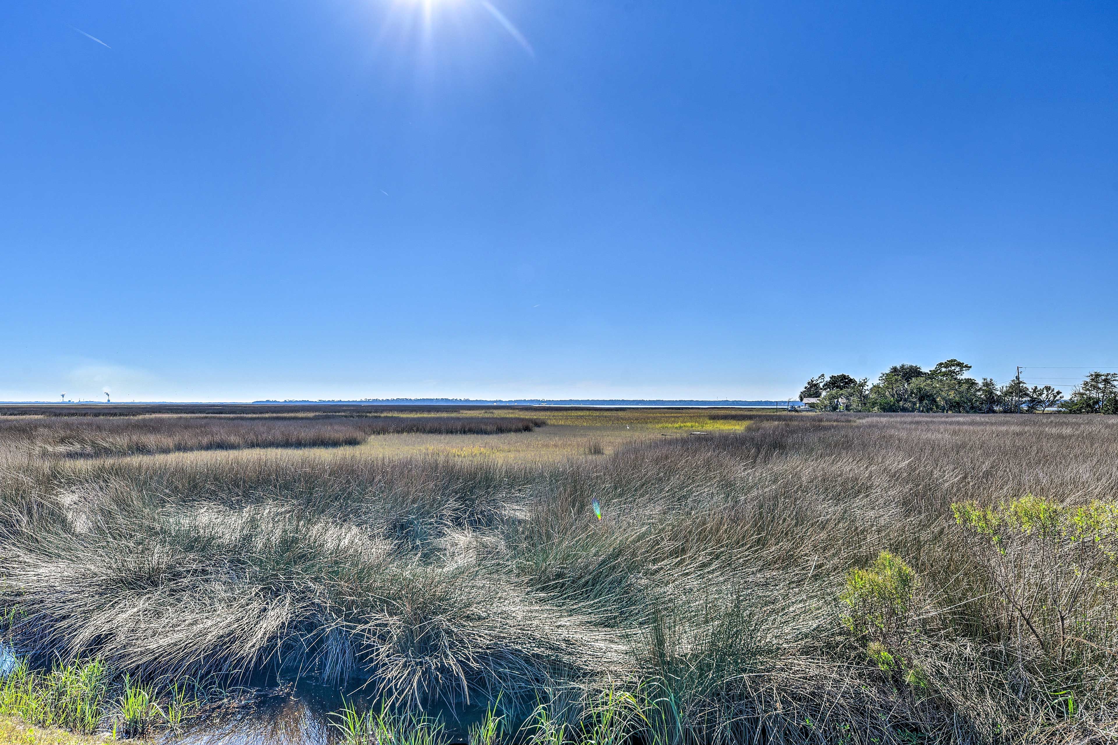 Marsh Views