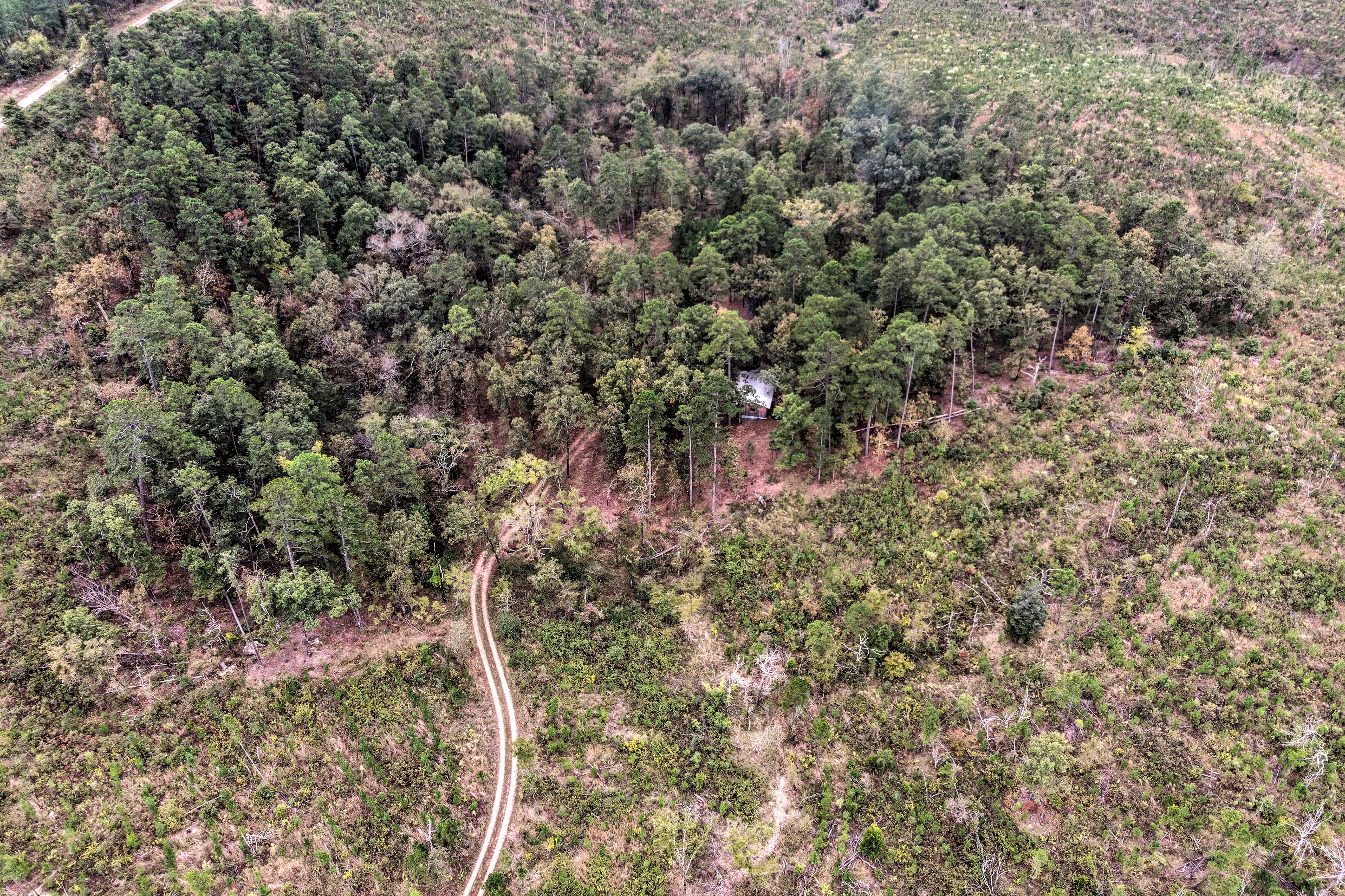Property From Above