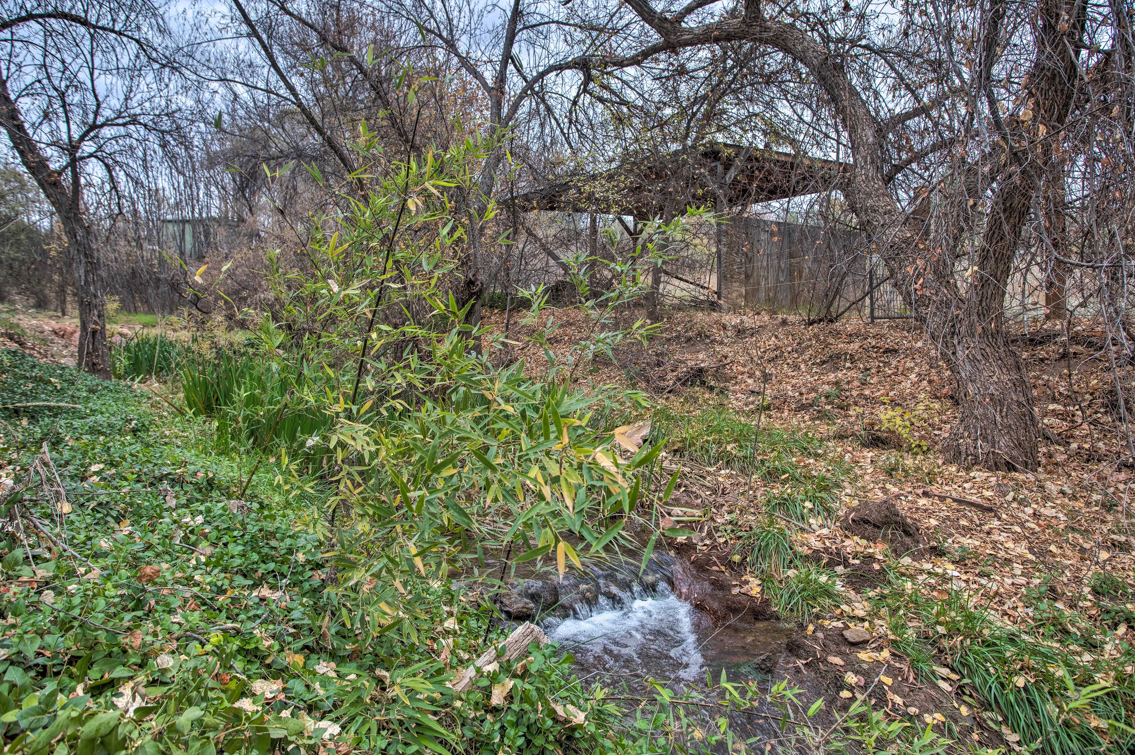 On-Site Creek