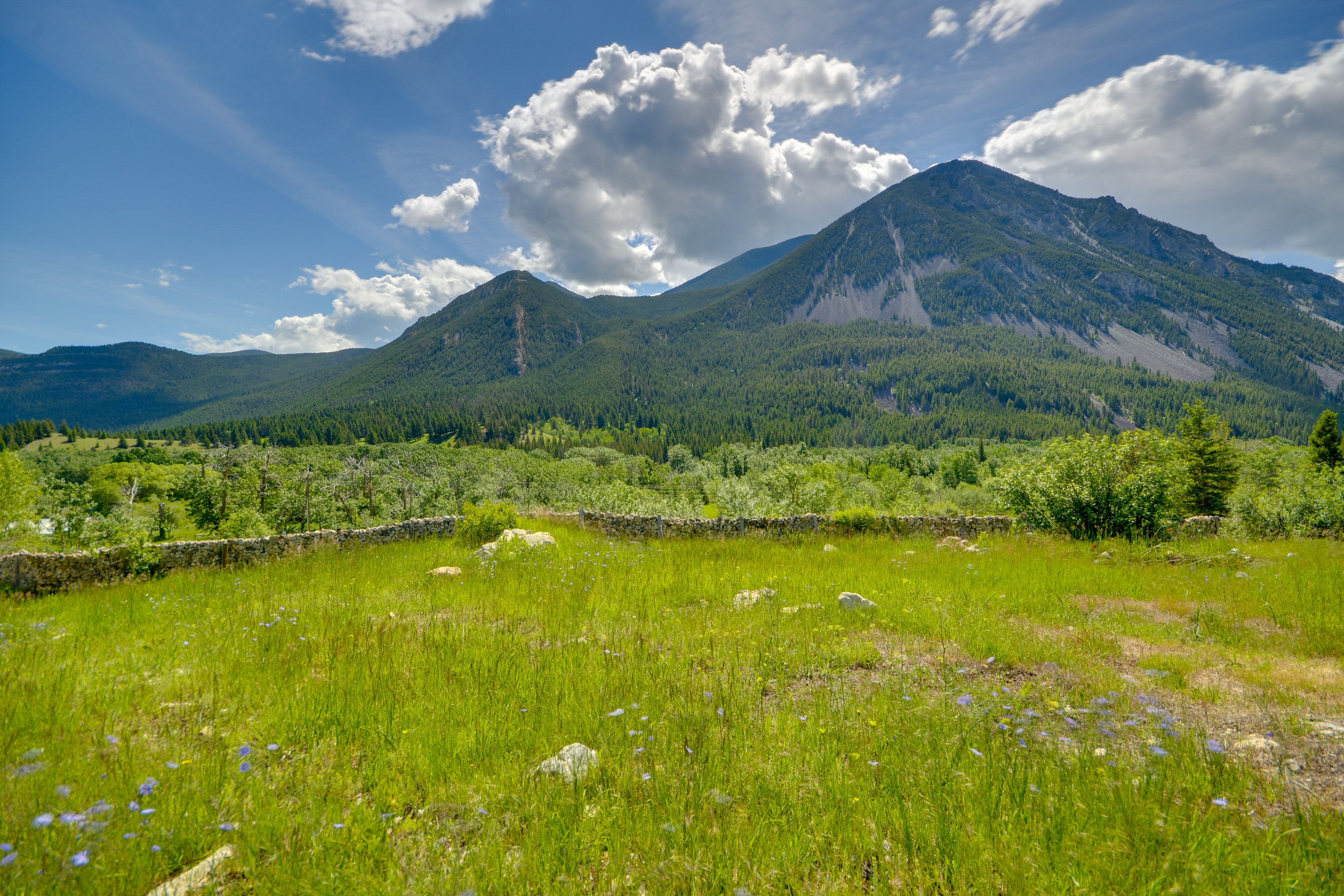 Property Views