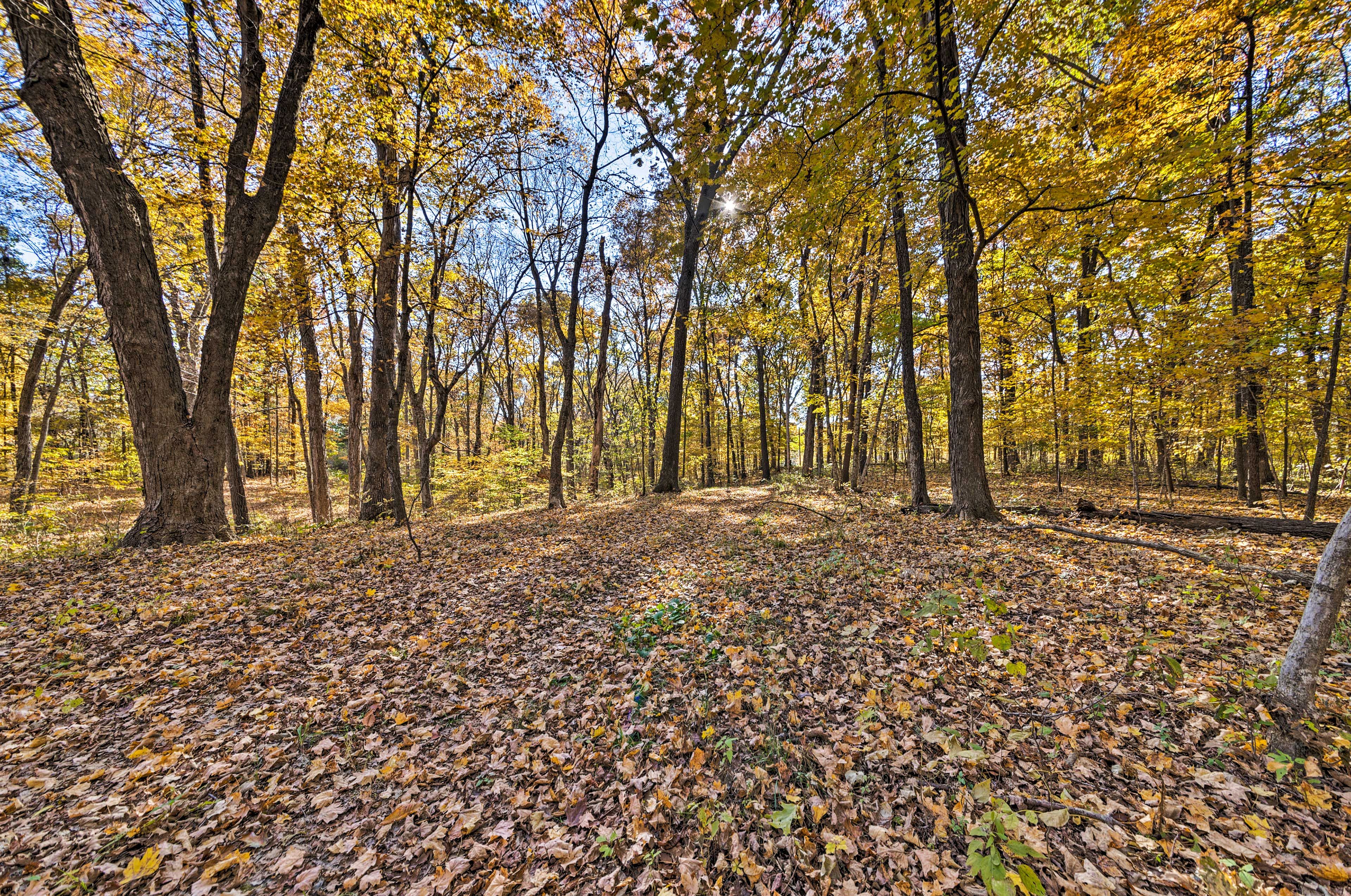 On-Site Trails | Pet Friendly